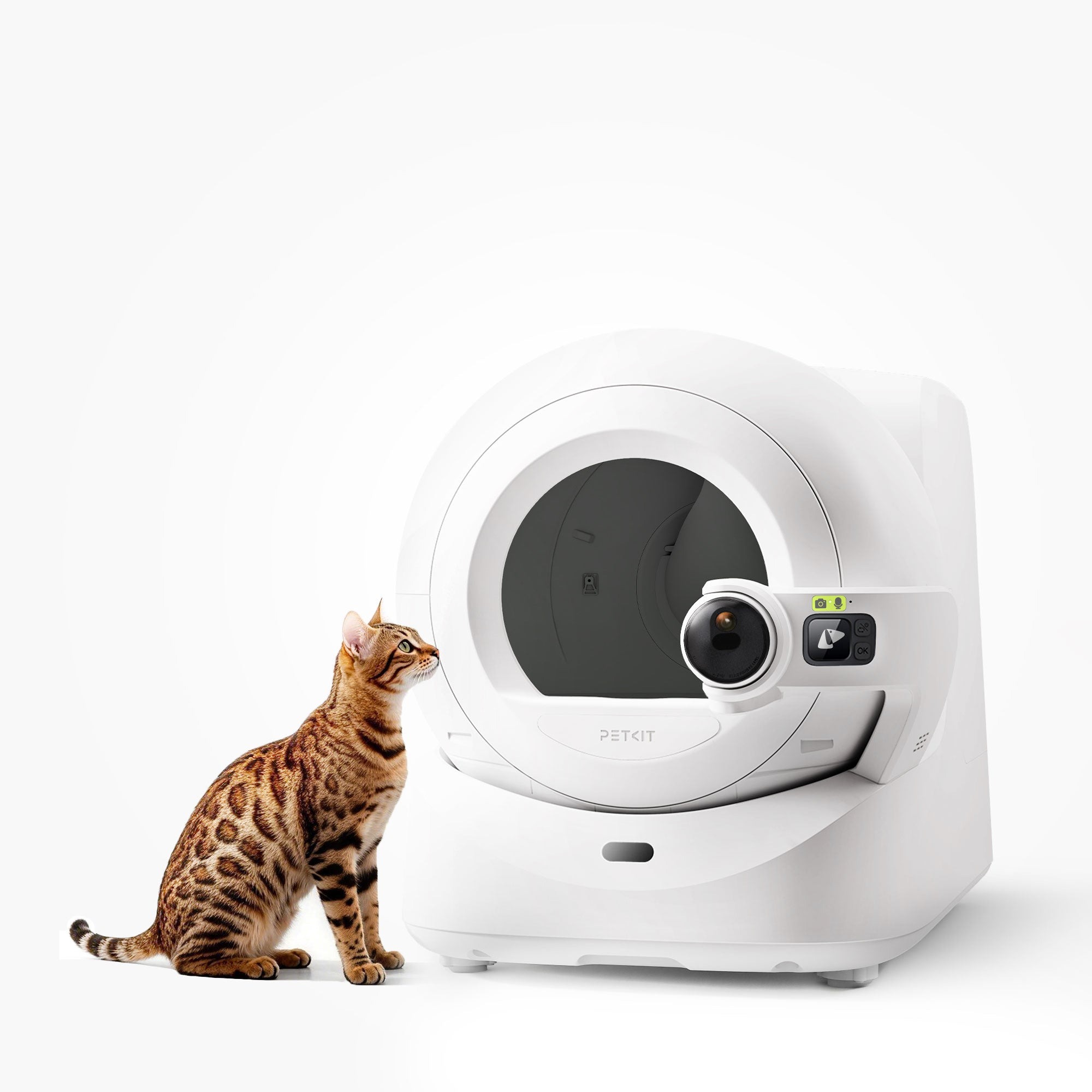 Automatic Cat Litter Box