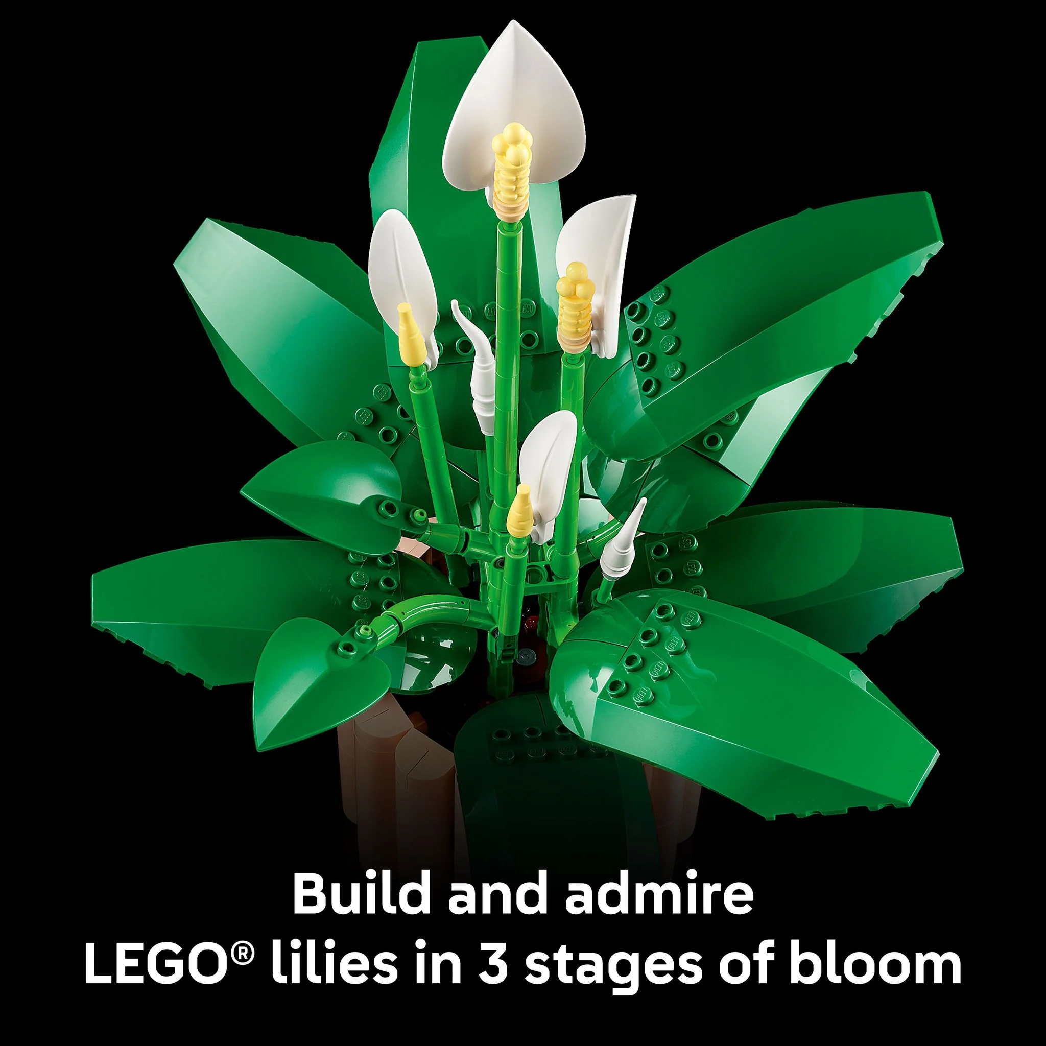 LEGO 11504 Botanicals Peace Lily