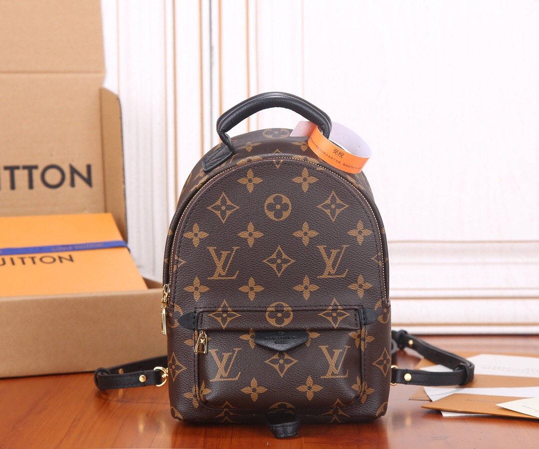 Louis Vuitton Nicolas Ghesquiere Palm Springs Mini Backpack Bags 17*22*10cm