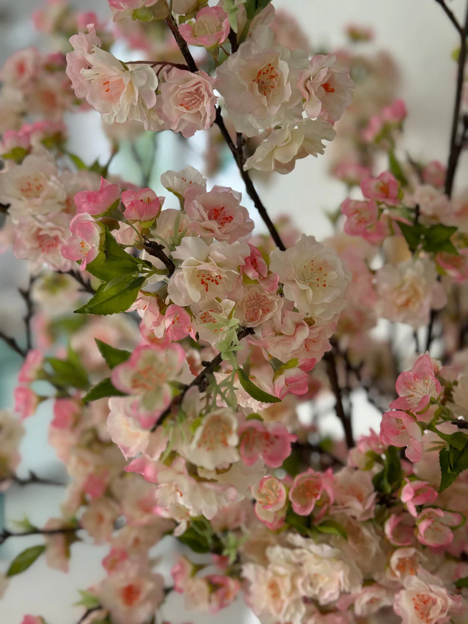 Pink Cherry Blossoms In 16″ Glass Cylinder
