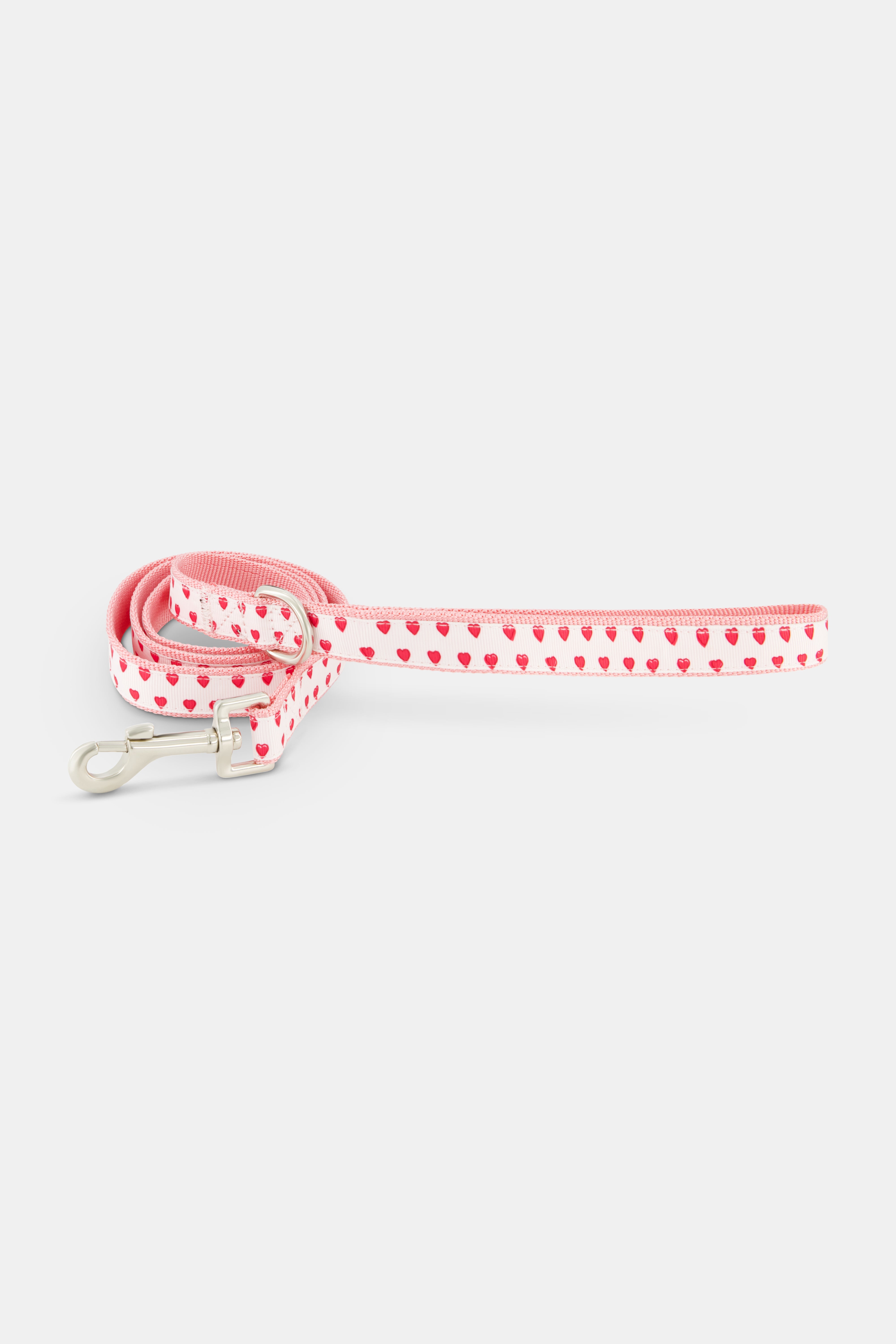 Hearts Dog Leash