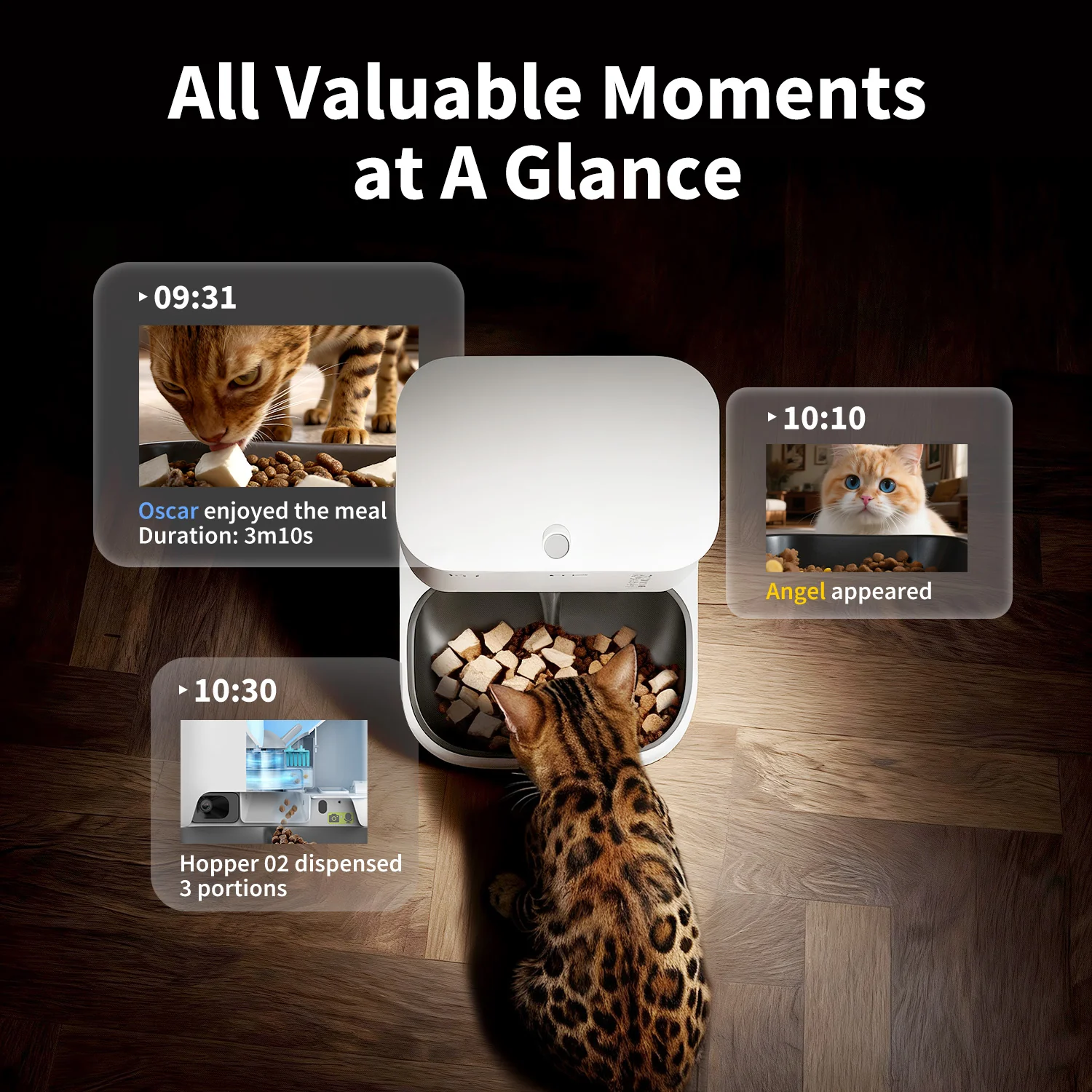 YumShare Dual-hopper 2 Ultimate Bundles