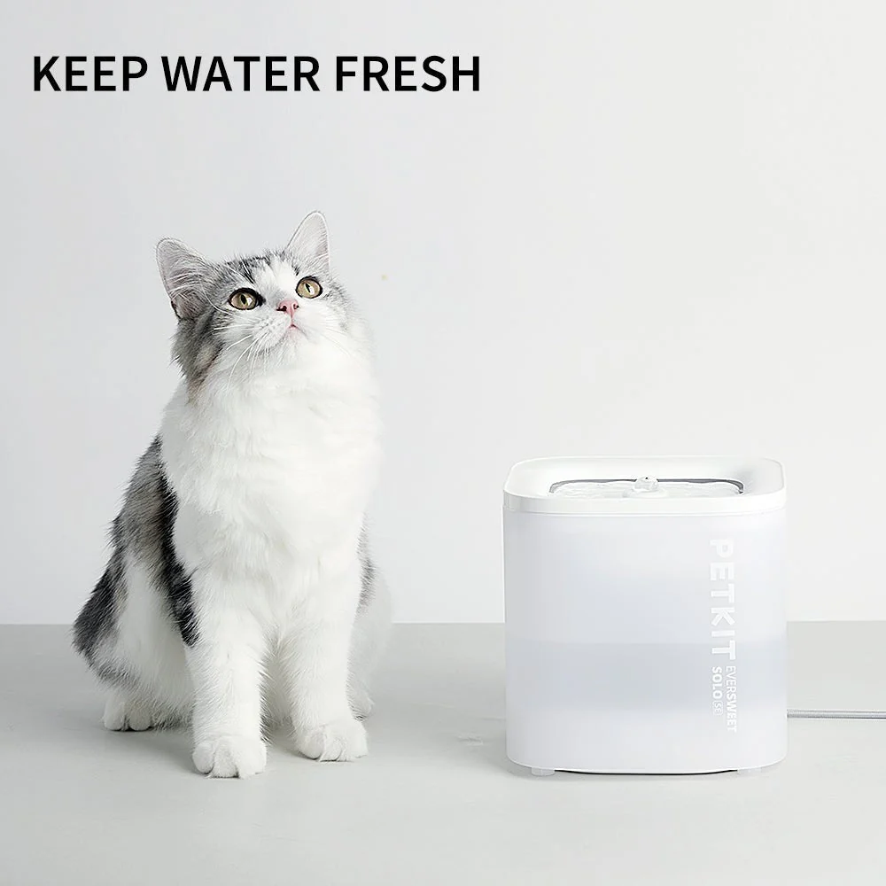 EverSweet Solo SE Pet Water Fountain