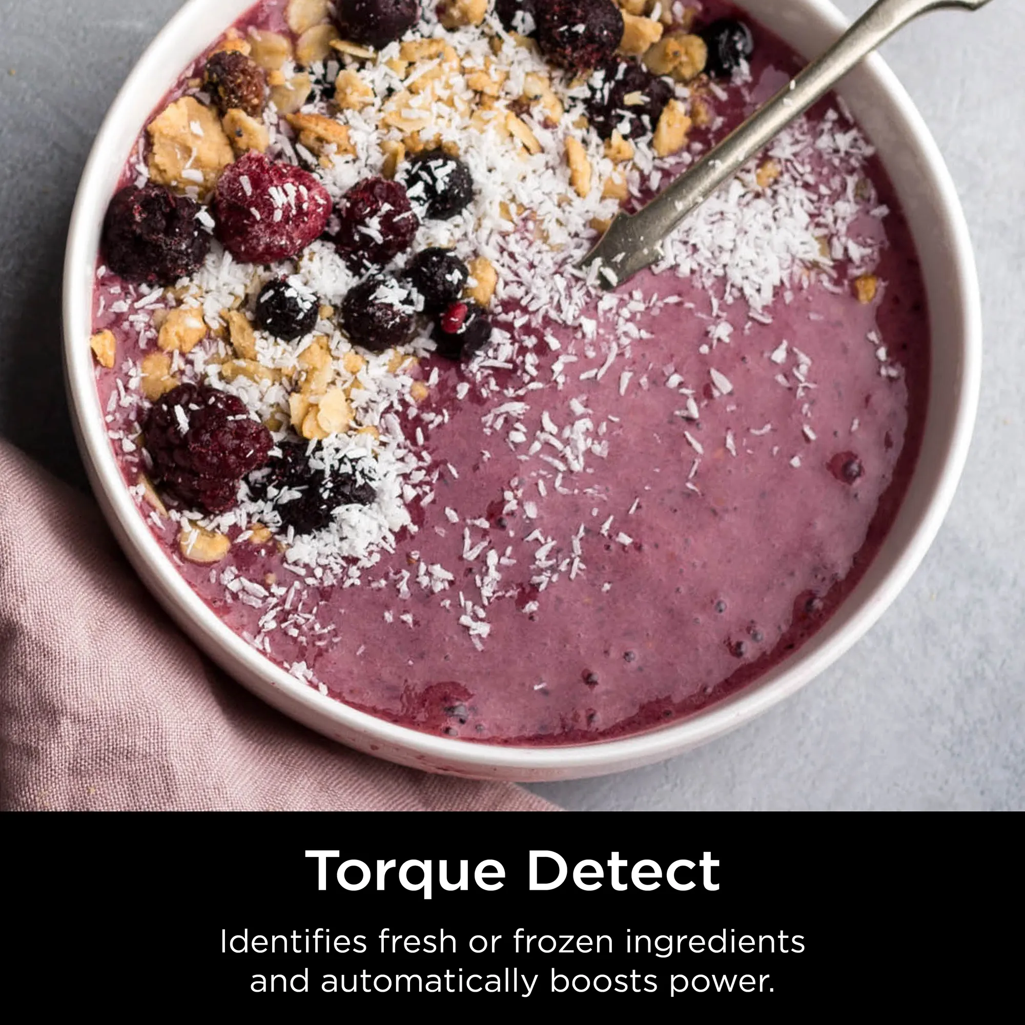 Ninja Detect Duo Power Blender Pro + Single Serve