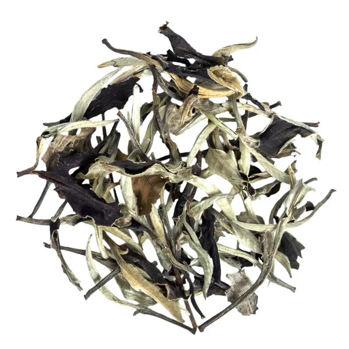 الشاي الأبيض | White Teaohmyteachina