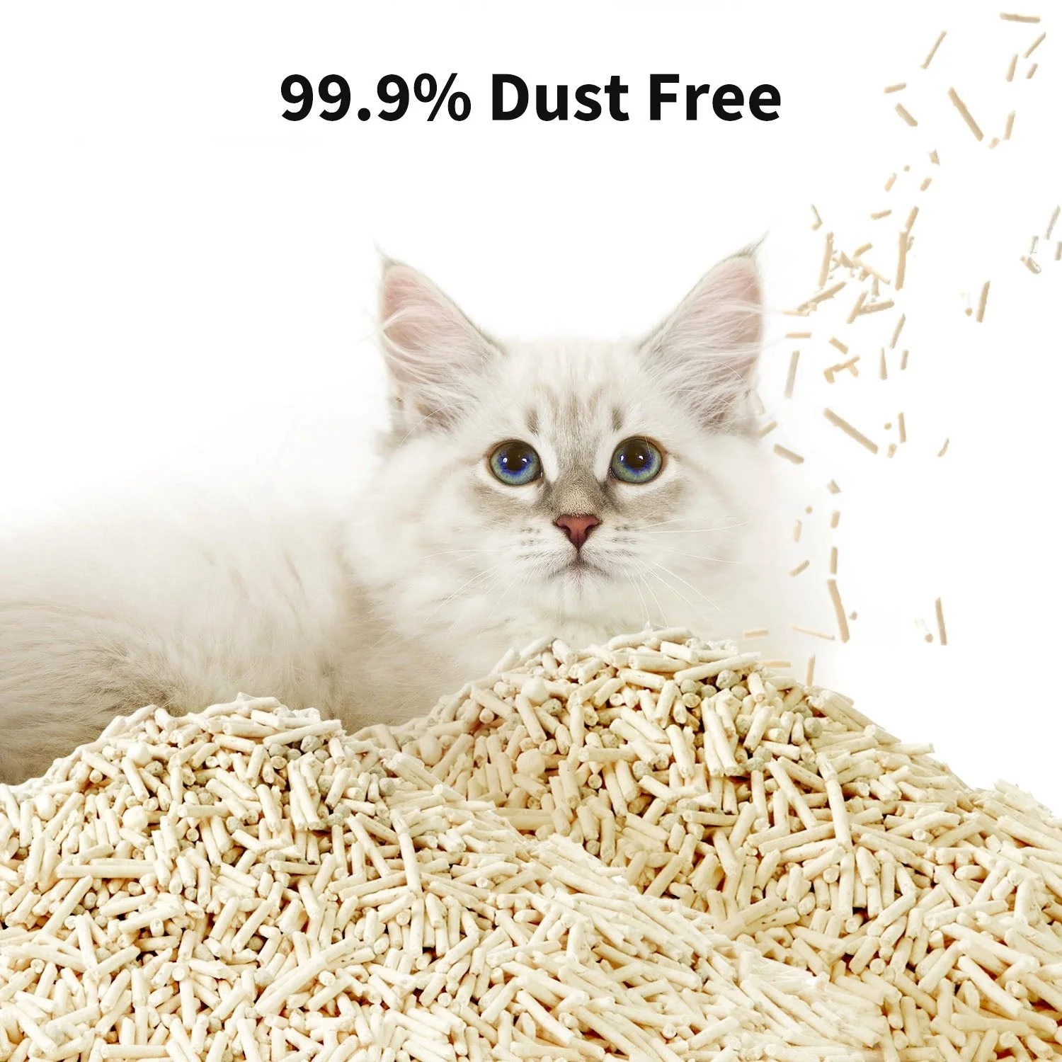 Occult Blood Test Mixed Cat Litter - 2 Bags