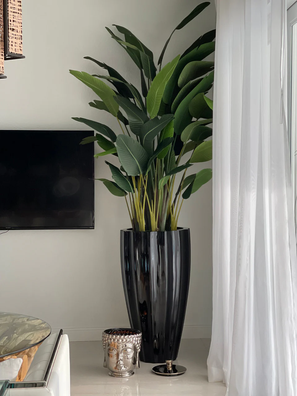 San Jose Fluted Planter in Glossy Black with Birds of Paradise