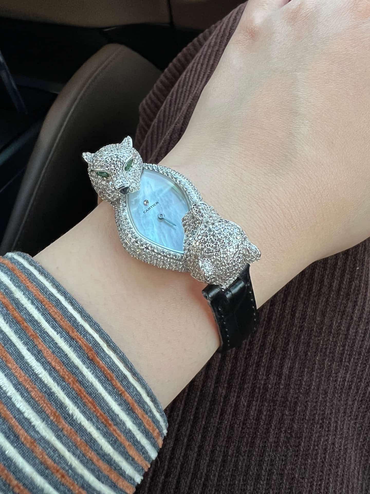 Cartier Panthère Crash Jewelry Watch TOP