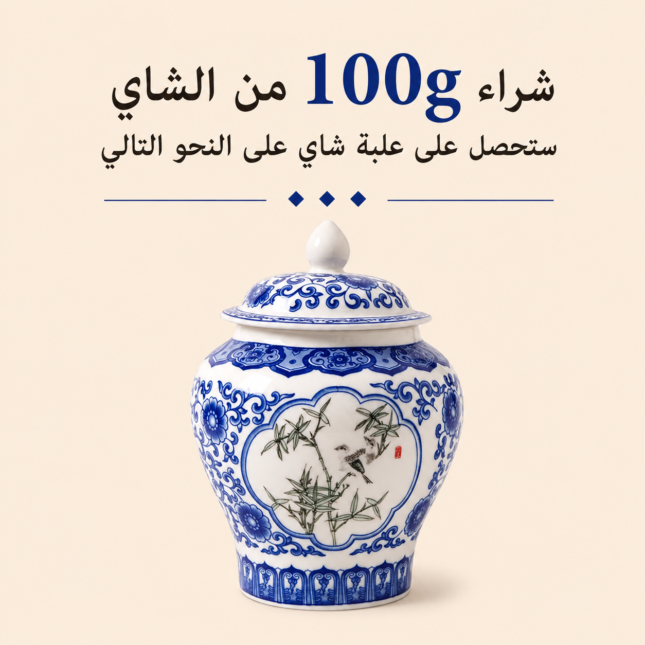 دا هونغ باو - أولونغ ووييDa Hong Pao Wu Yi OolongS.R.138.00شاي أولونغOhmyteaohmyteachina