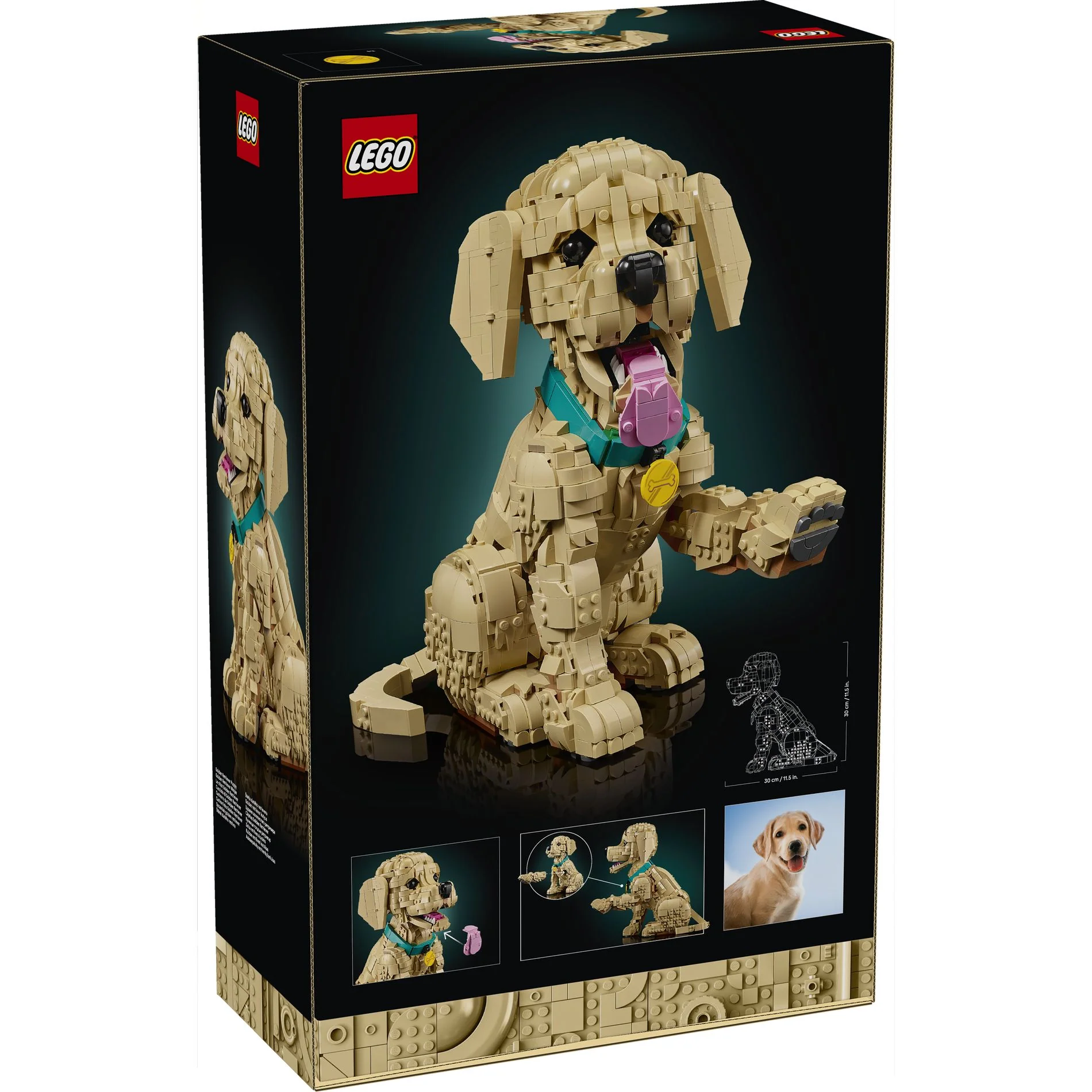 LEGO 11384 Icons Golden Retriever Puppy