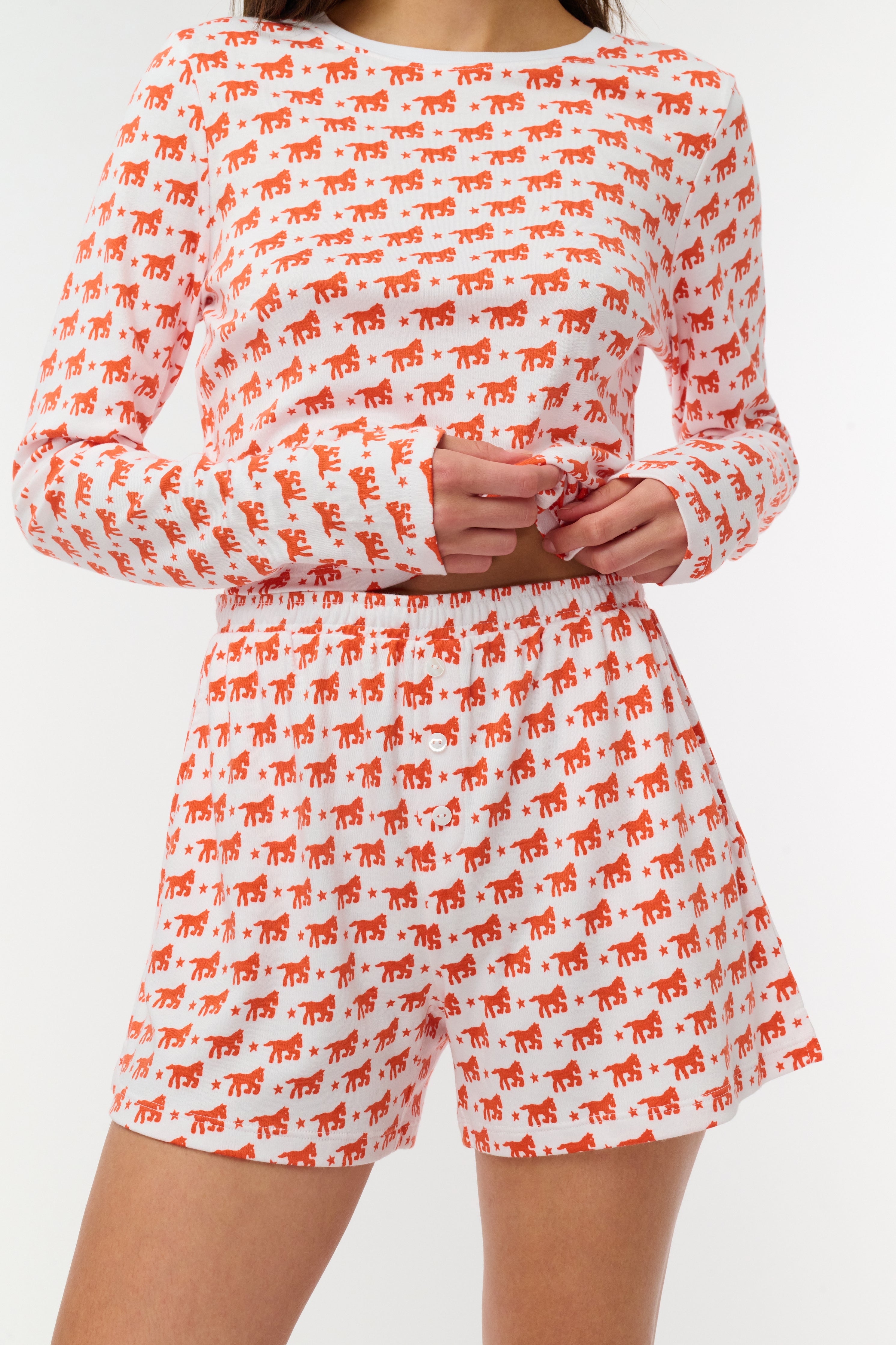 Lucky Stars Brooklyn Boxer