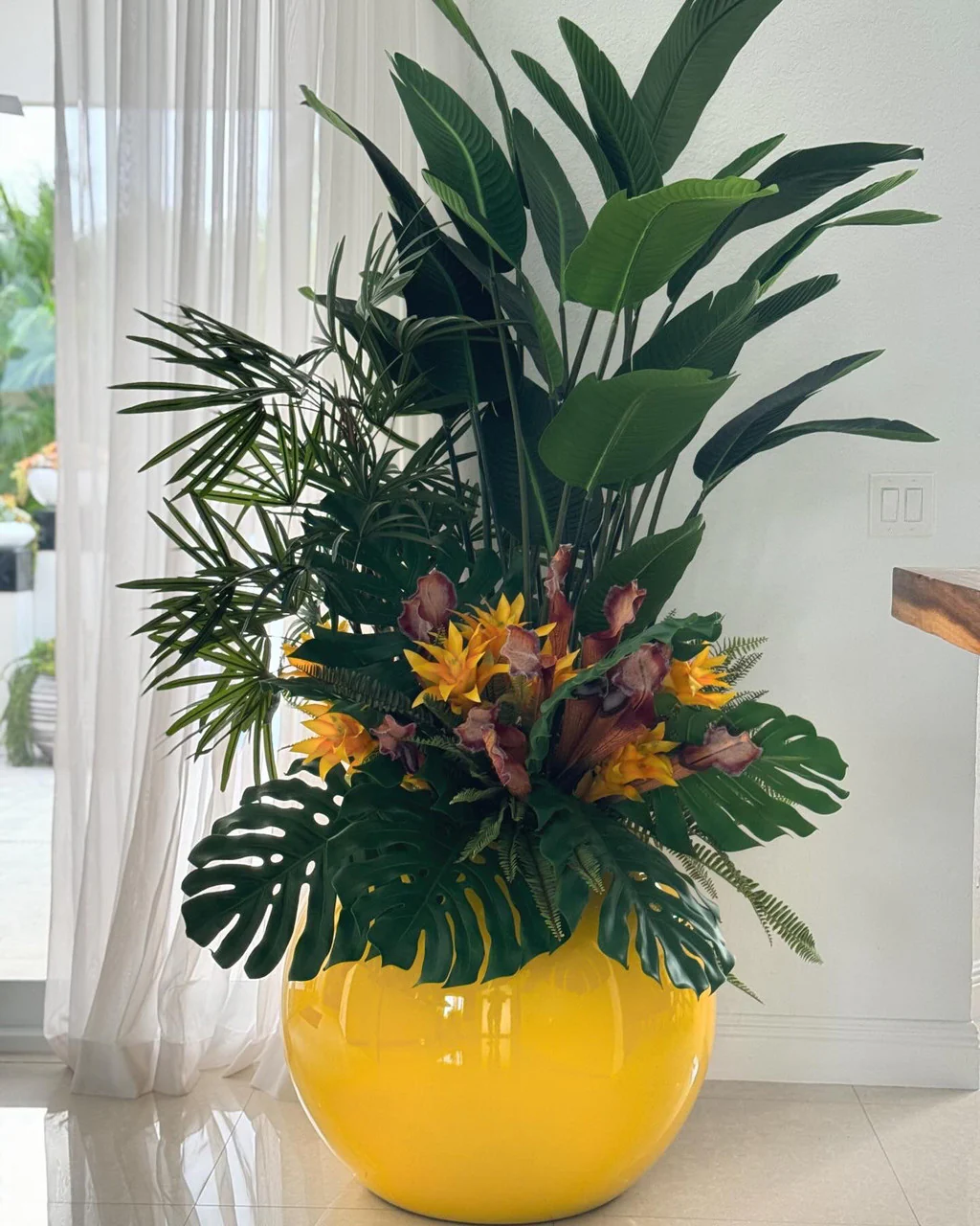 Bird of Paradise