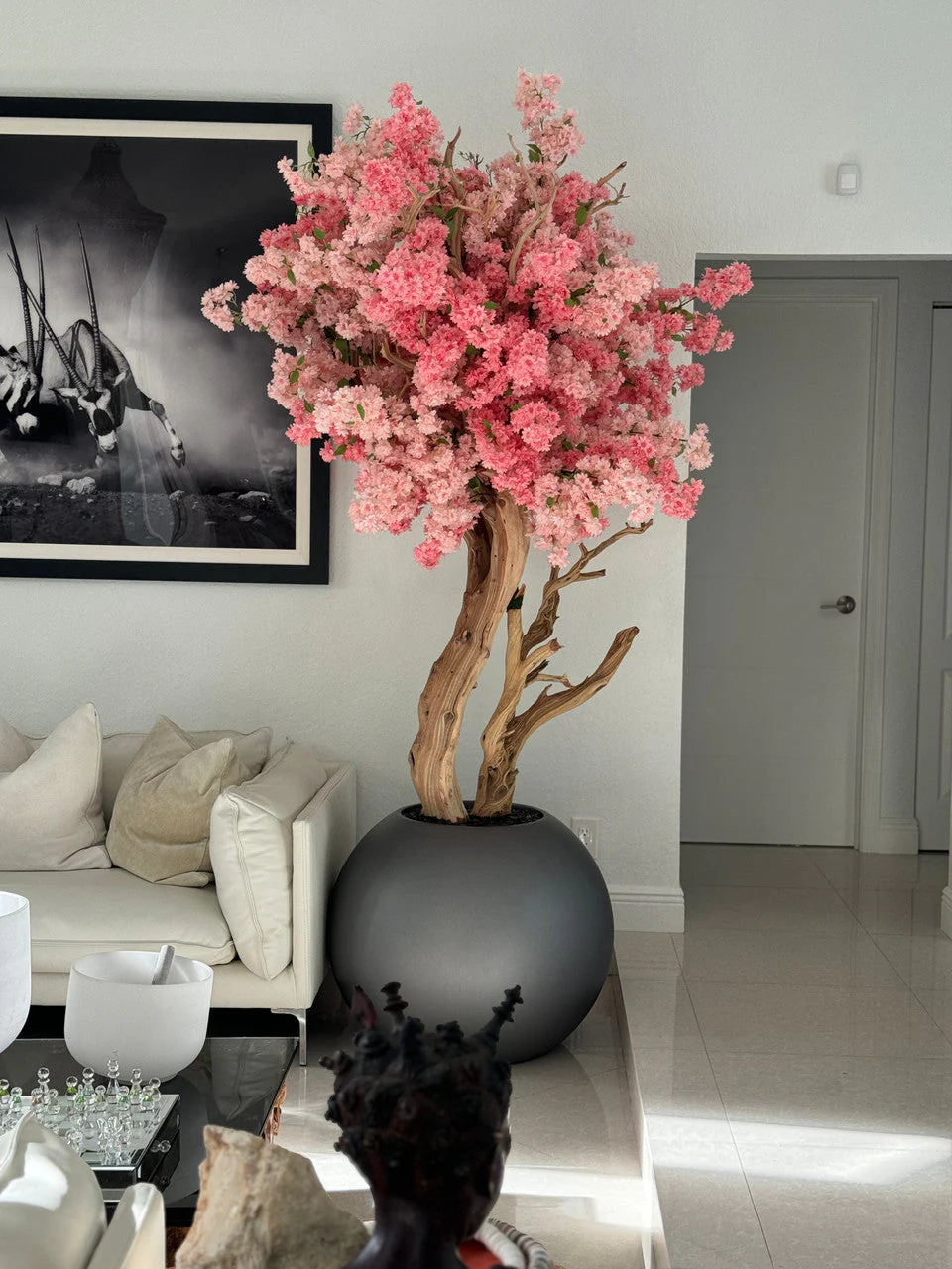 Cherry Blossom