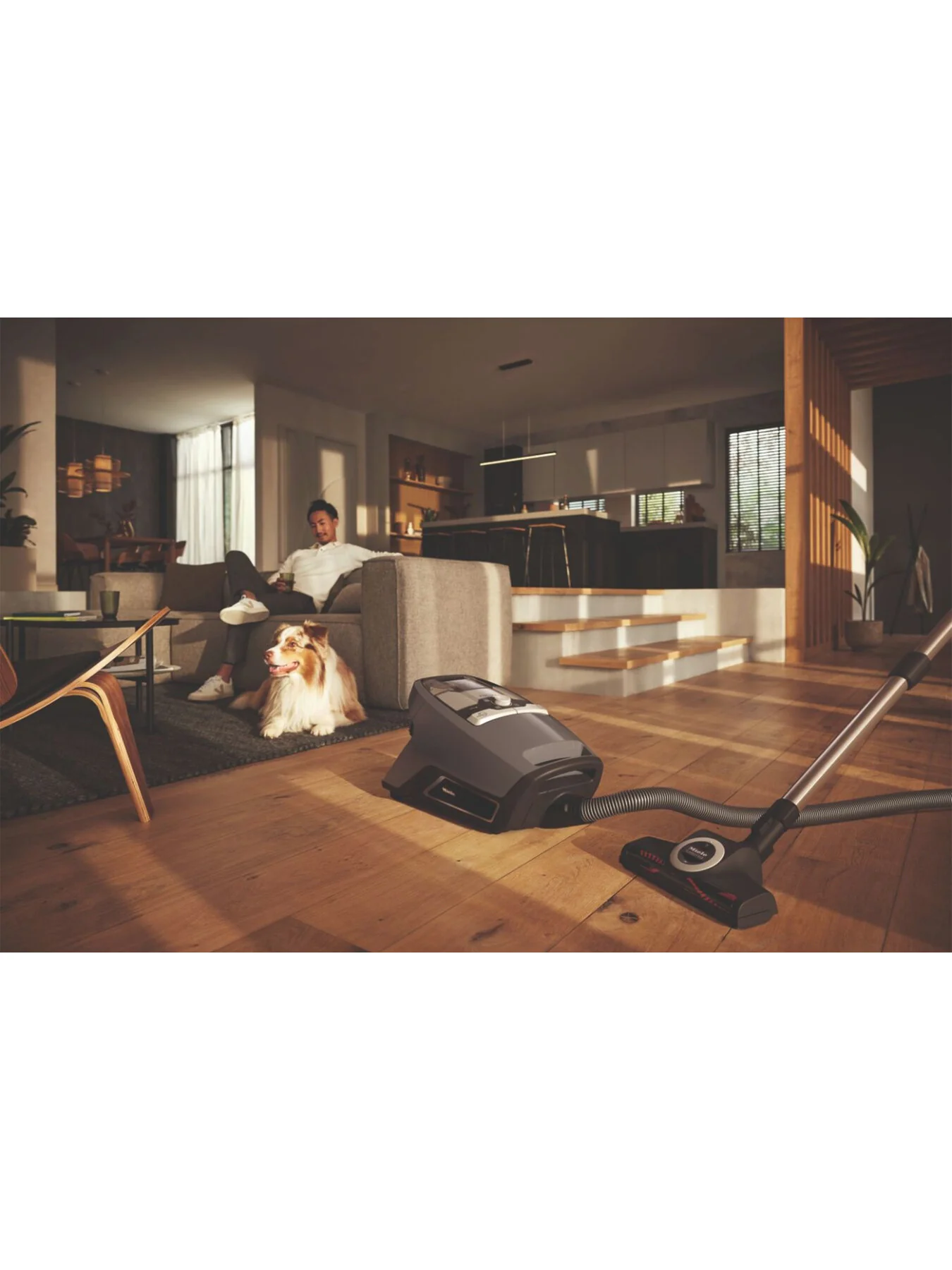 Blizzard CX1 Cat Dog Flex Bagless Vacuum Cleaner