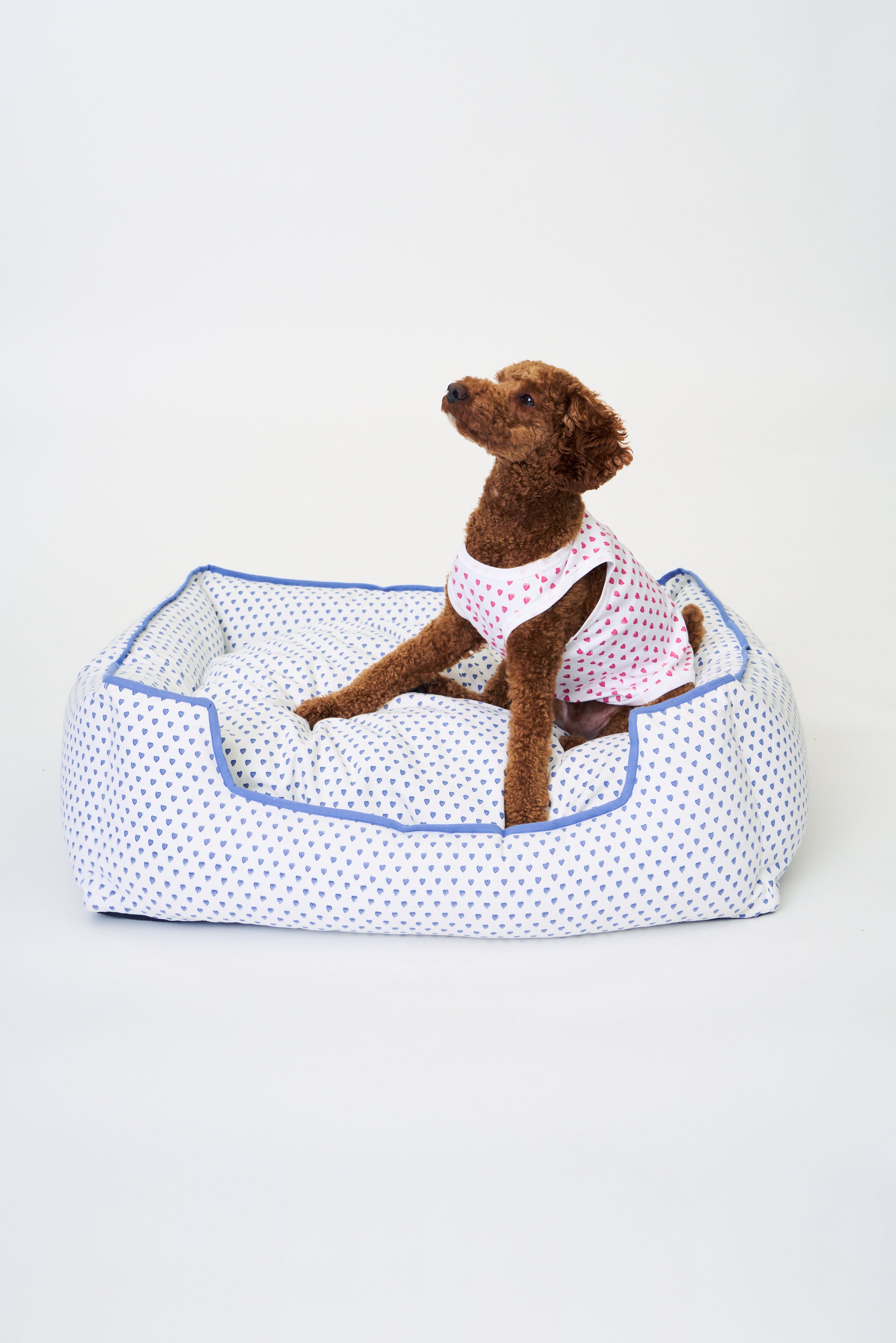 Hearts Dog Bed