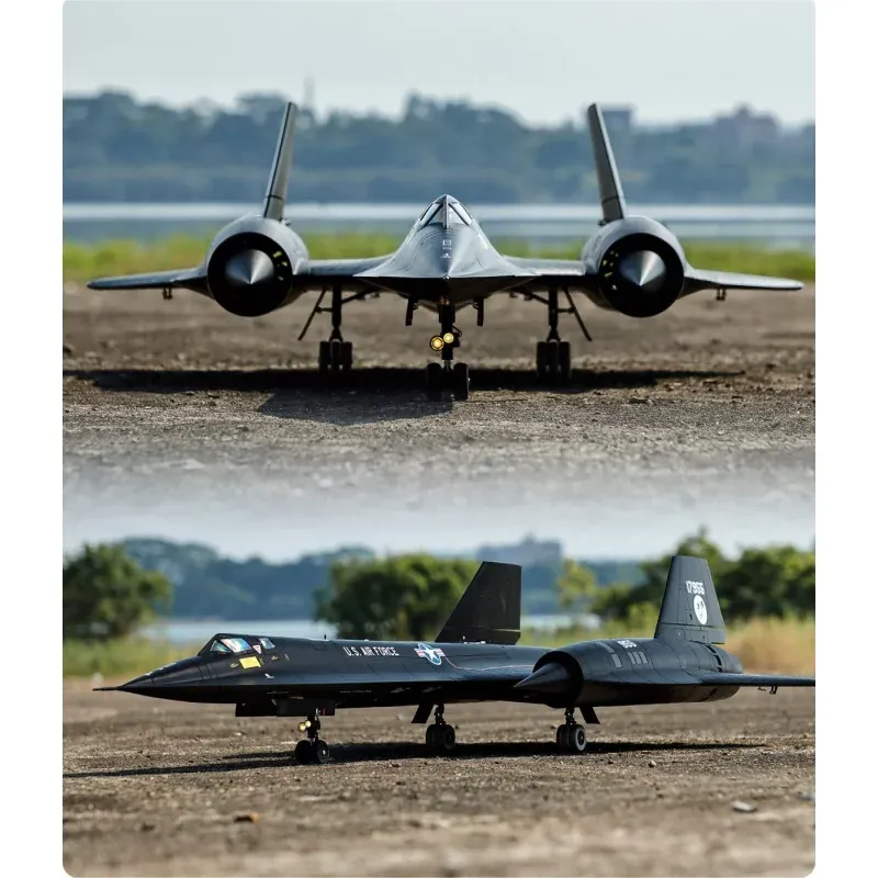 Freewing