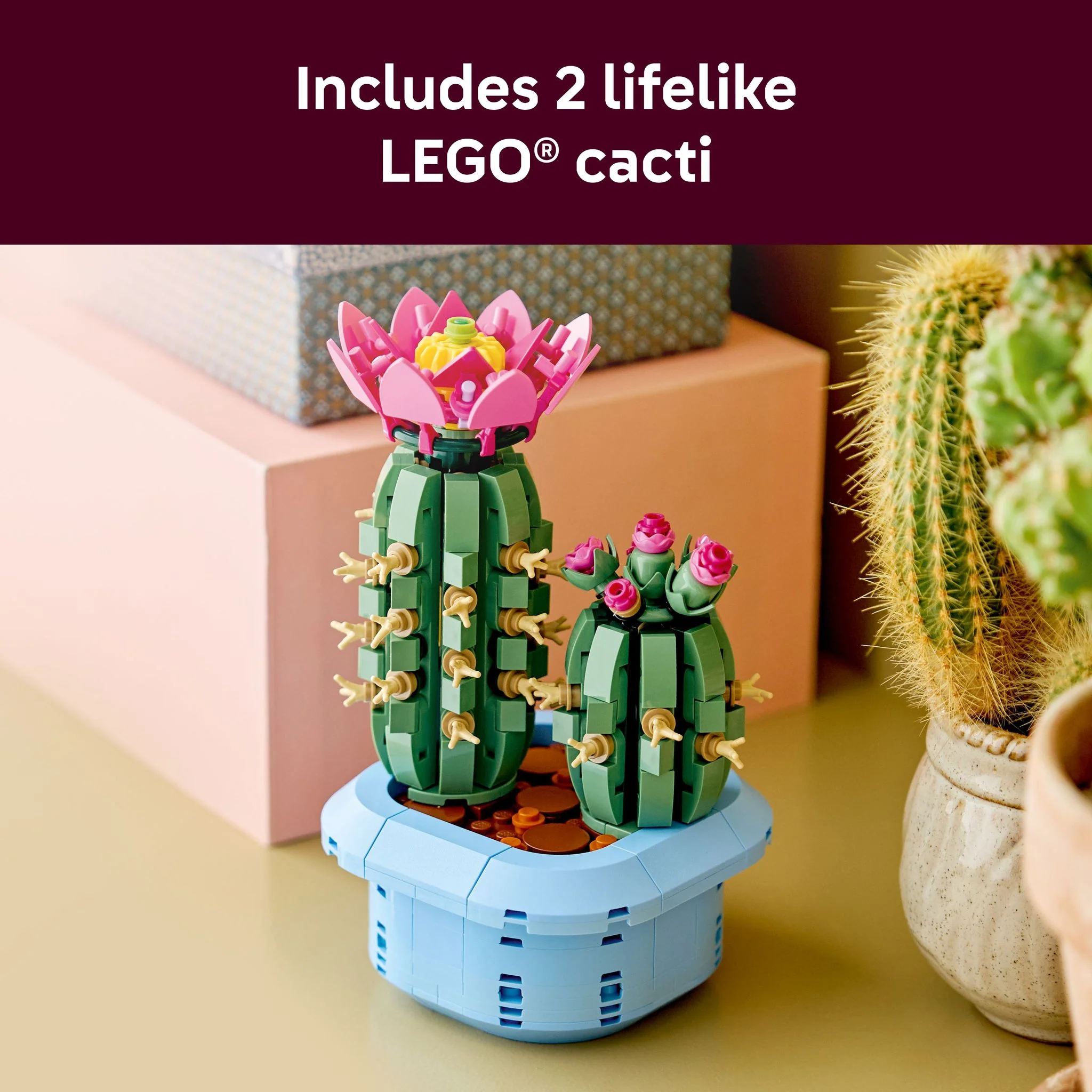 LEGO 11509 Botanicals Flowering Cactus