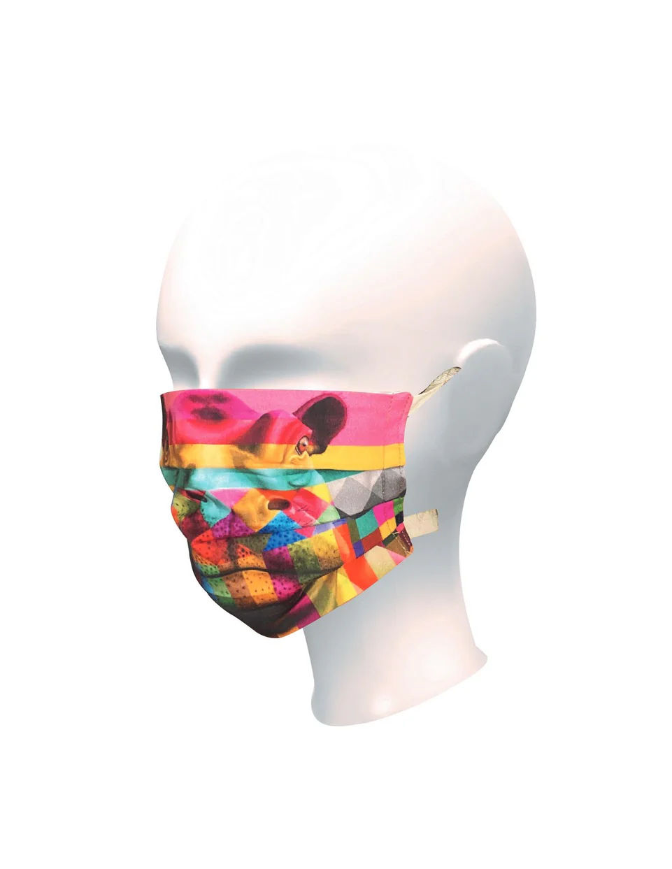 Hippo in Colour Face Mask