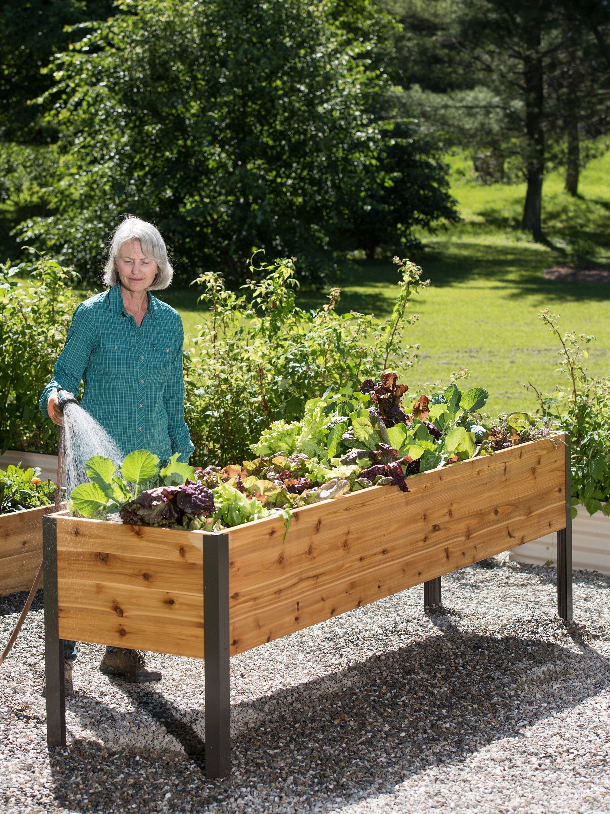 EcoStained Self-Watering Raised Planter Box Cedar 96x24x29