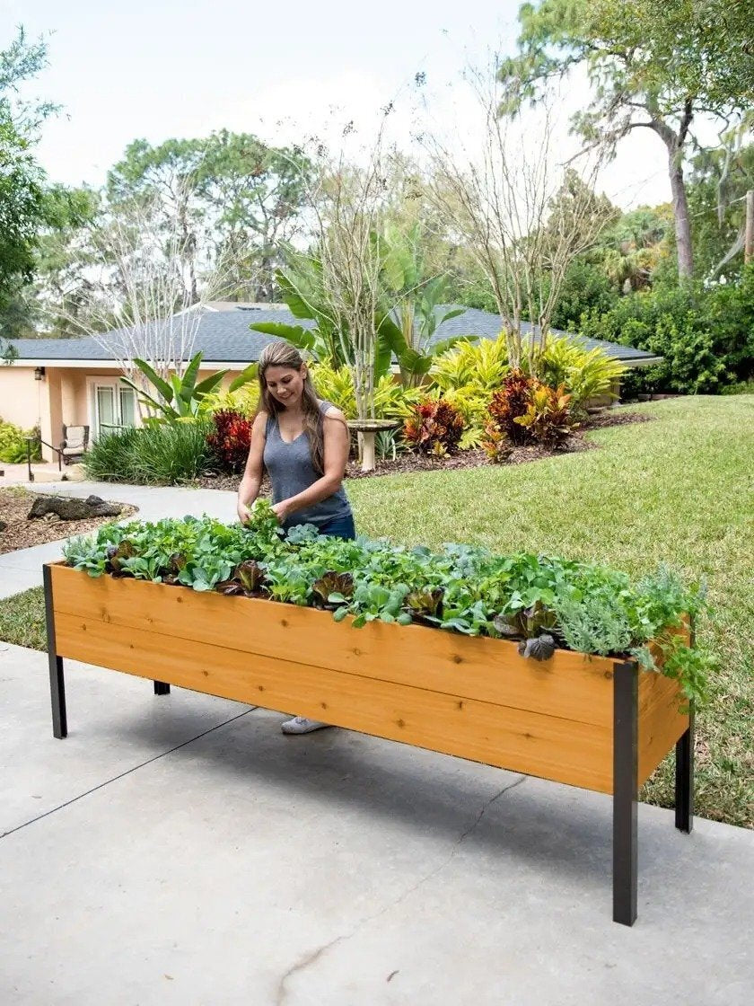 EcoStained Self-Watering Raised Planter Box Cedar 96x24x29