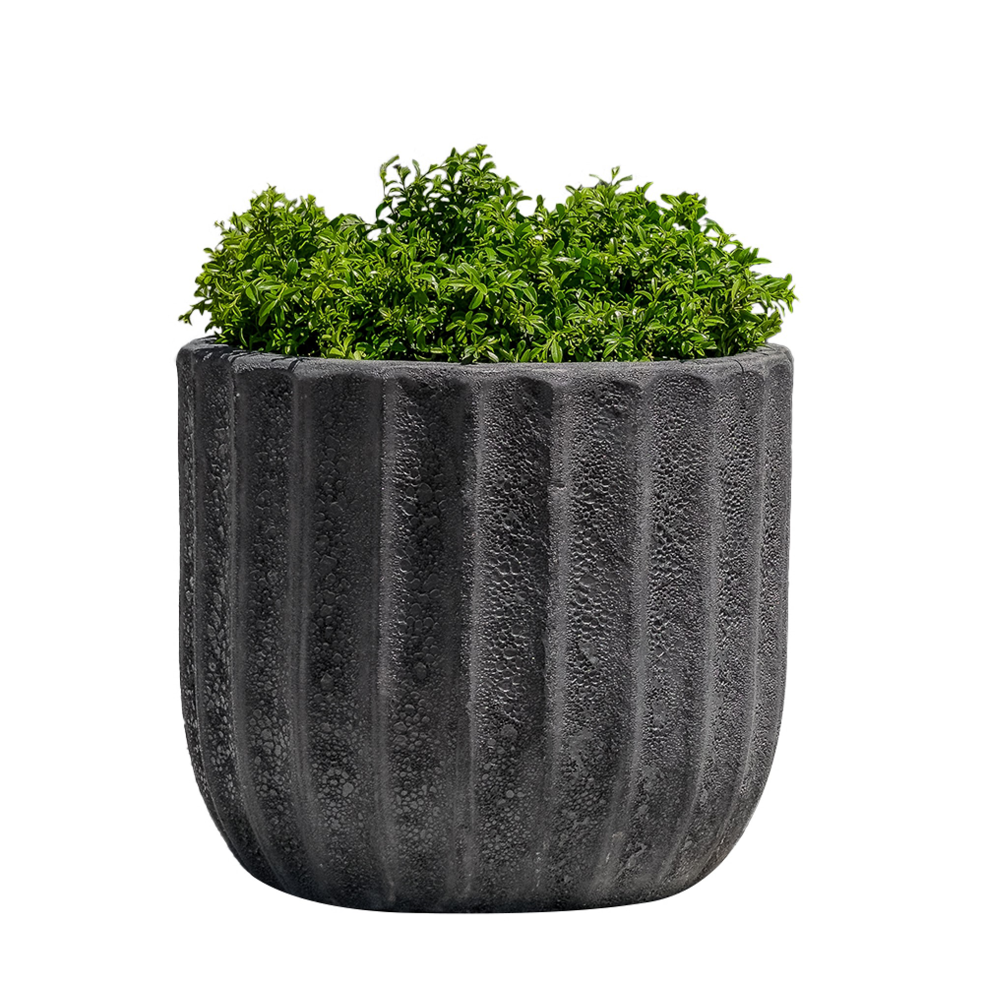 Maris Planter
