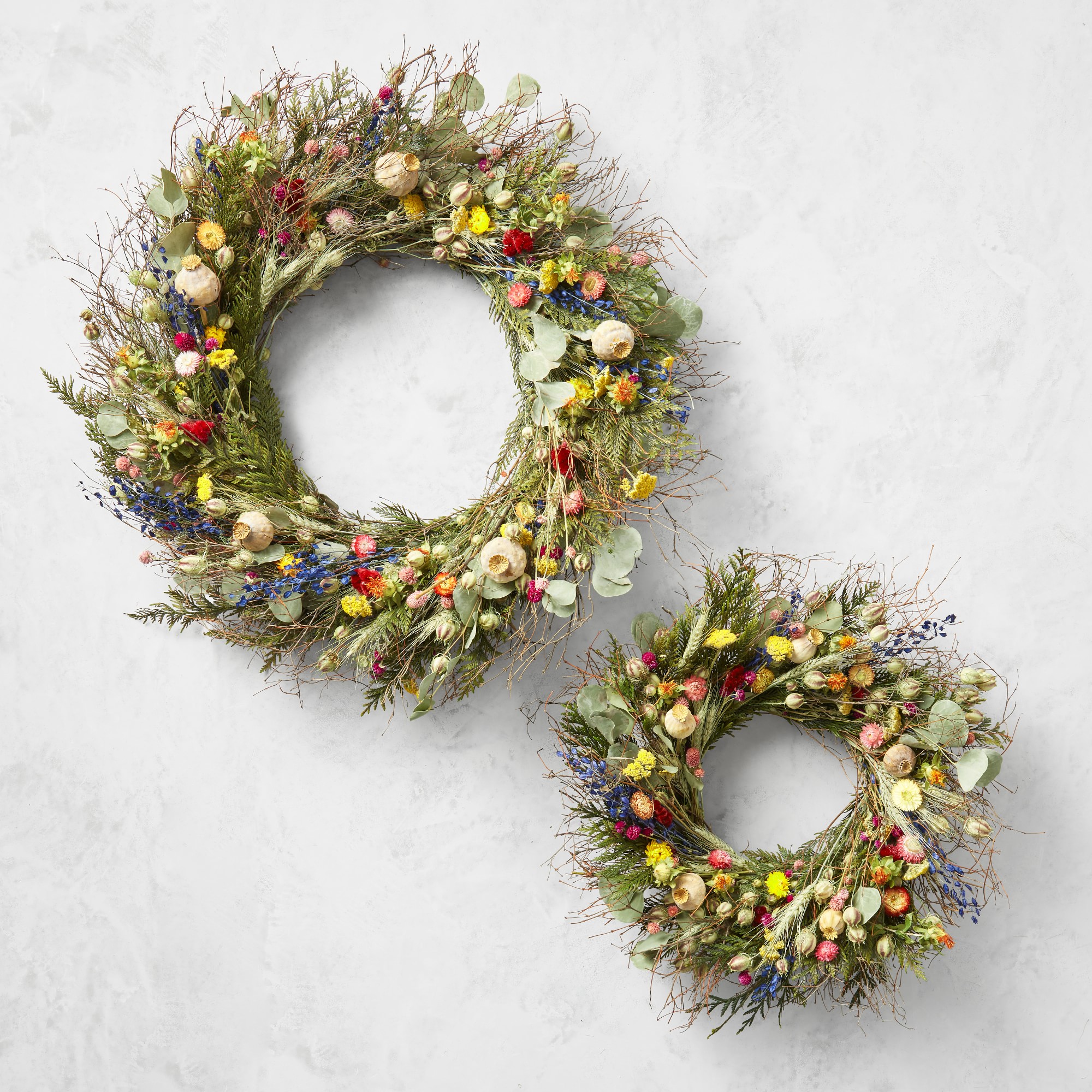 Garden Party Live Wreath