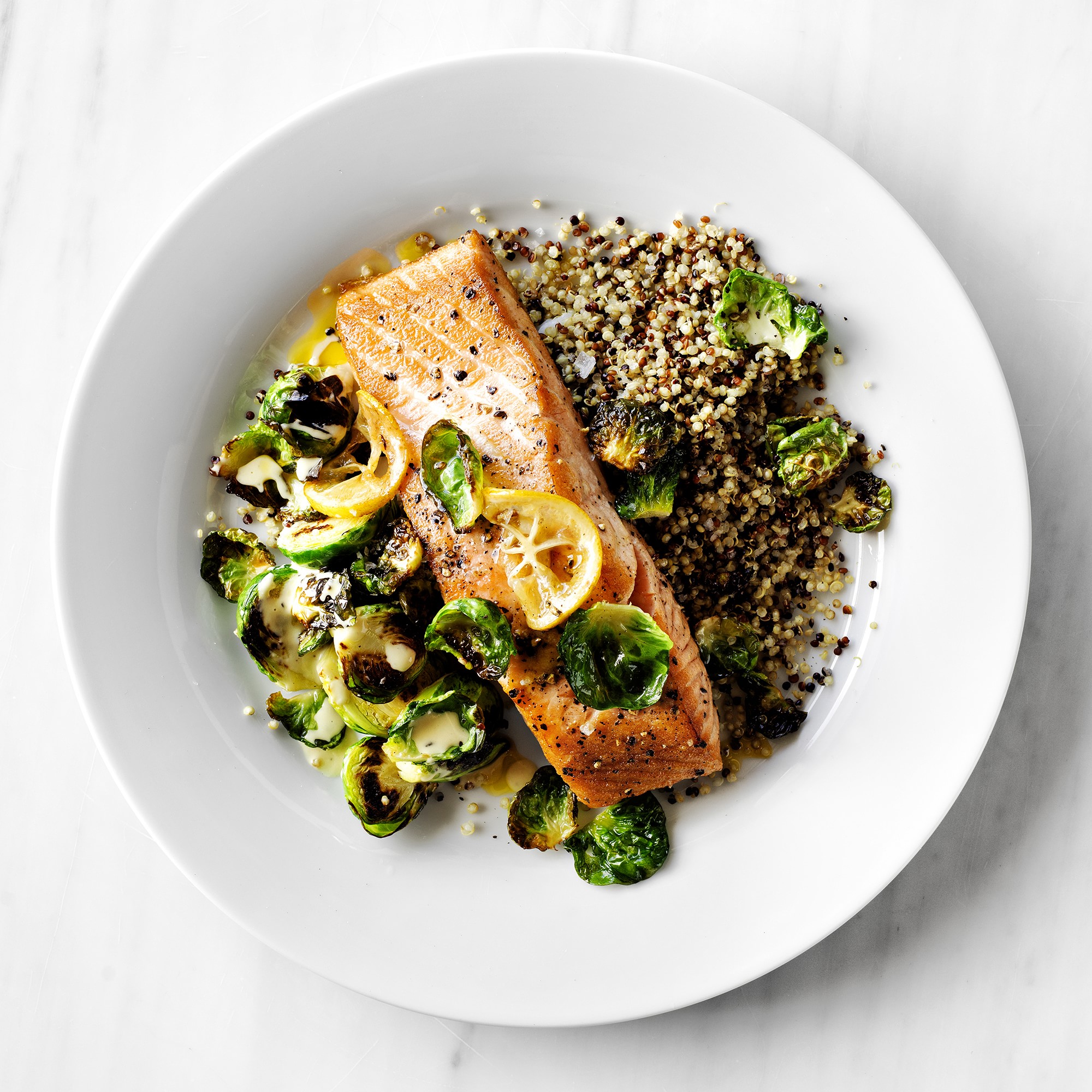 Open Kitchen by Williams Sonoma Dinner Plates