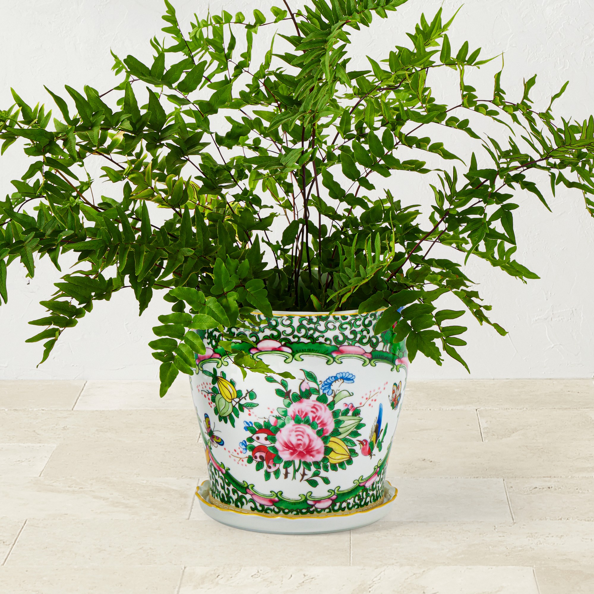 Famille Rose Planter Collection