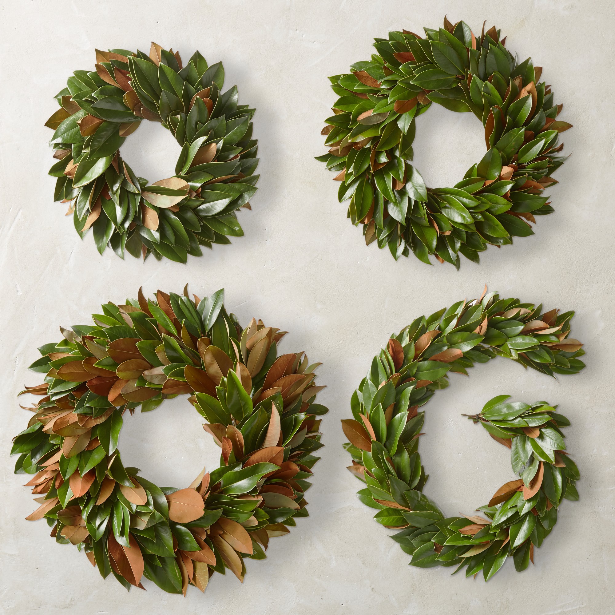Magnolia Live Wreath & Garland
