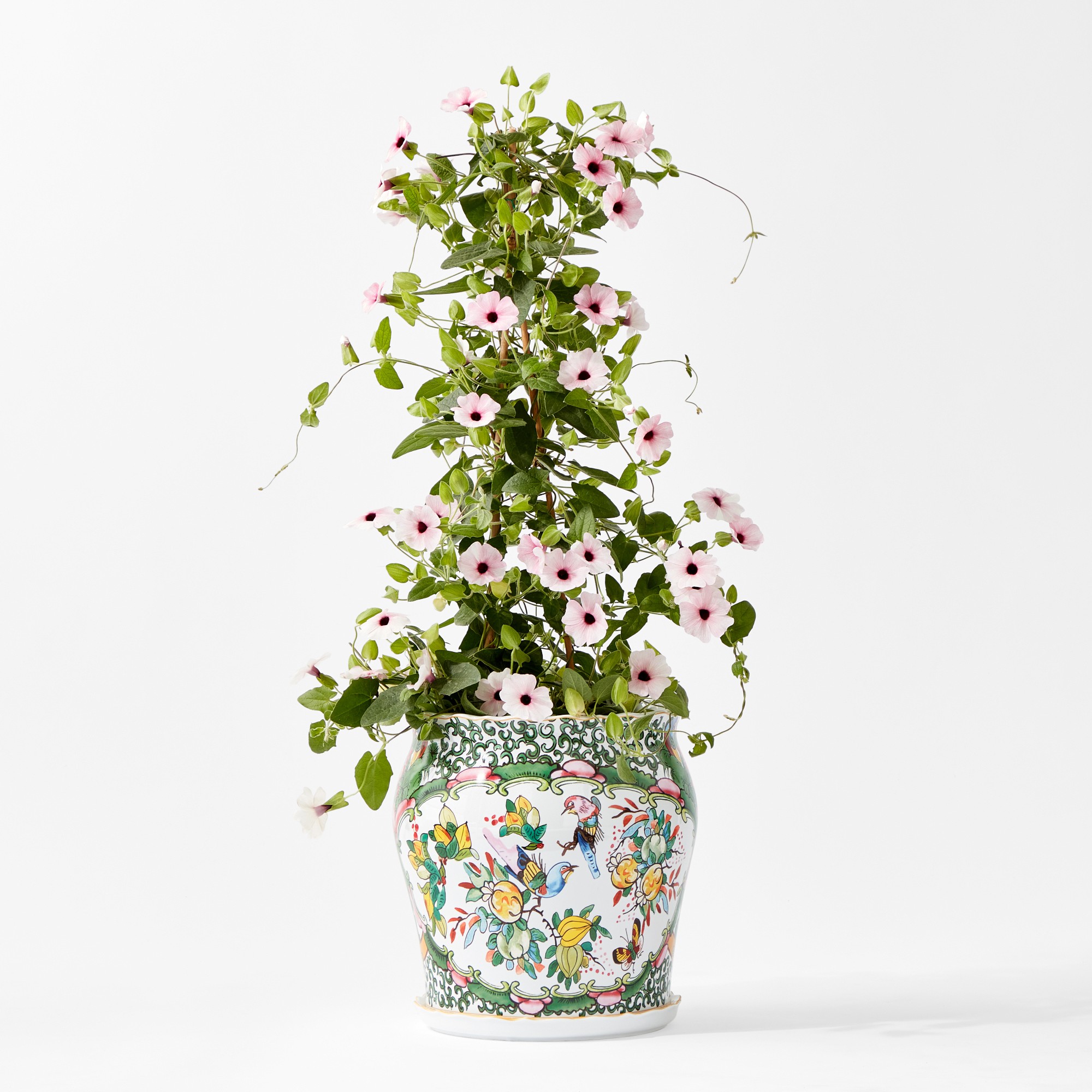 Famille Rose Planter Collection