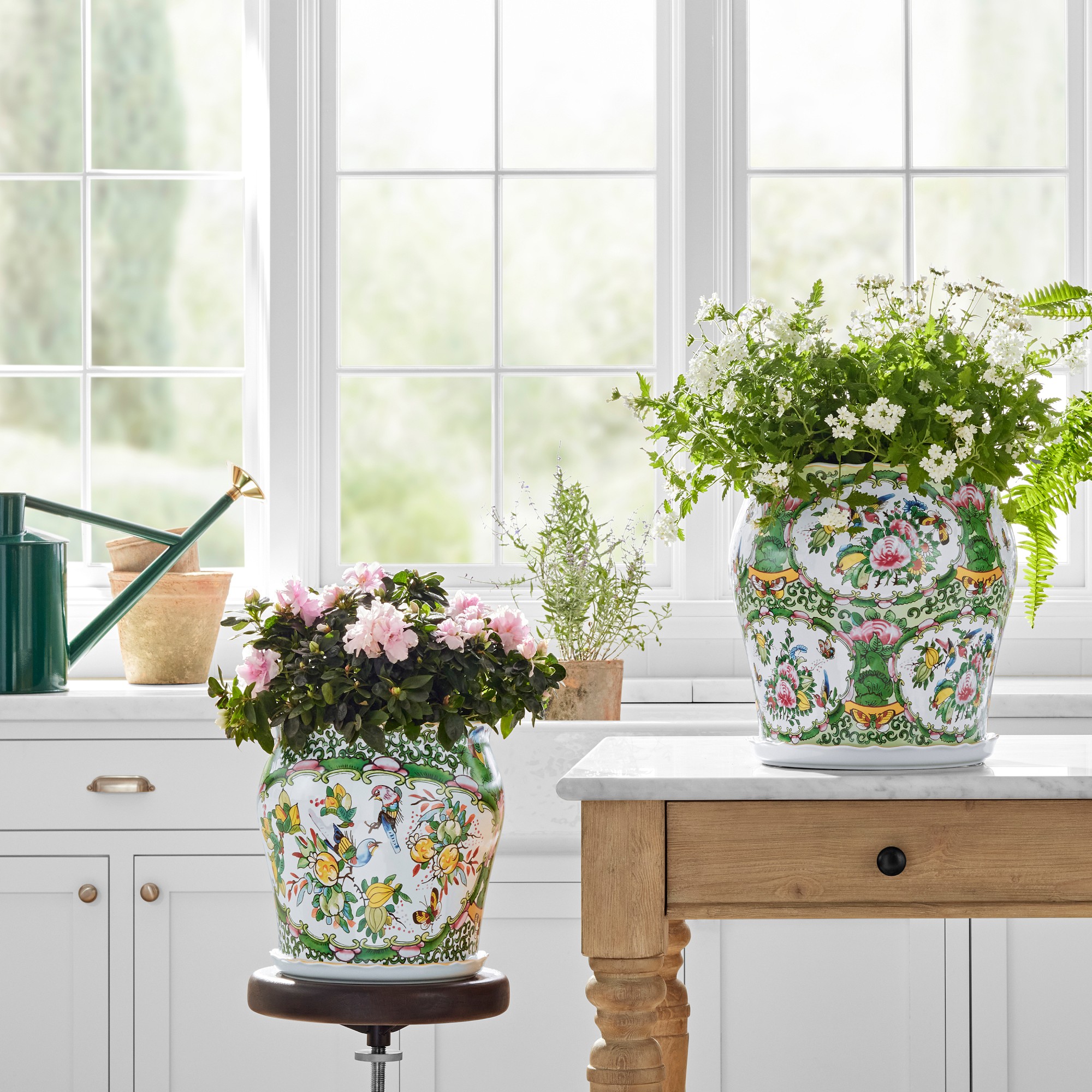 Famille Rose Planter Collection