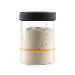 Sourhouse™ Starter Jar
