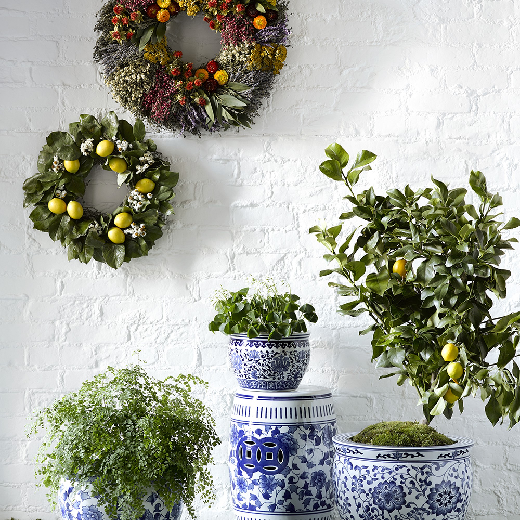 Blue & White Ceramic Planter, Small