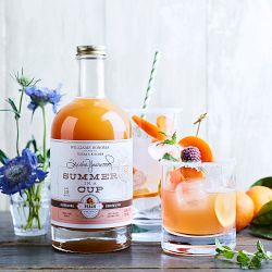 Trisha Yearwood x Williams Sonoma Summer in a Cup, Peach Cocktail Mix