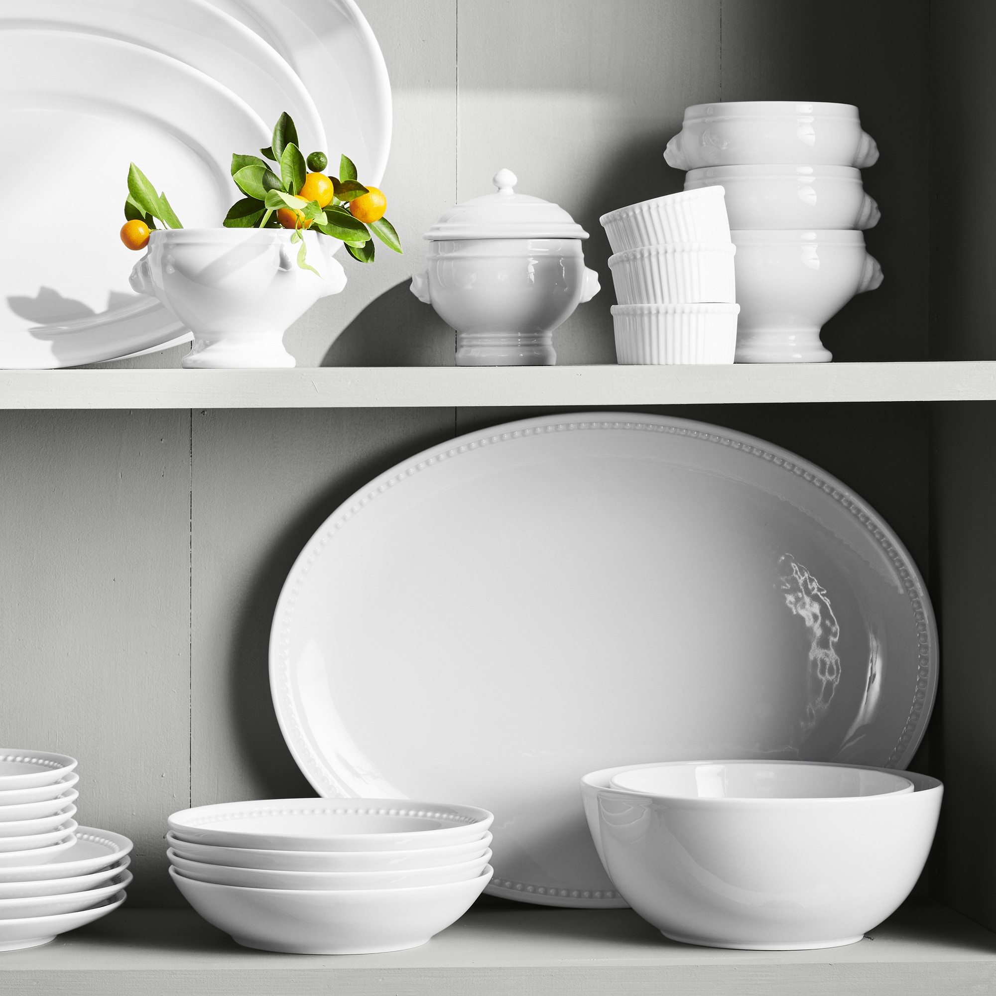 Apilco Lion's Head Tureen