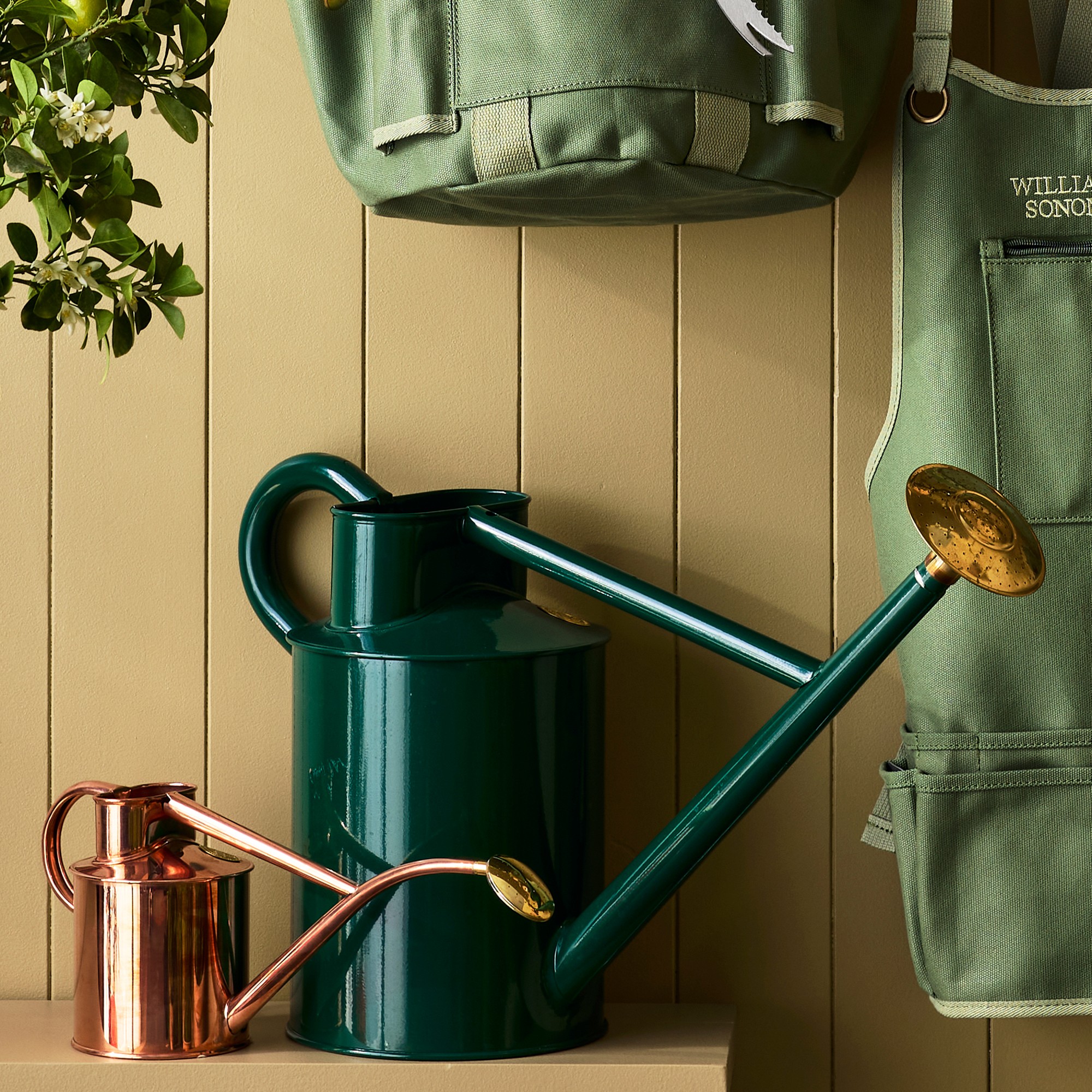 Haws Indoor Watering Can