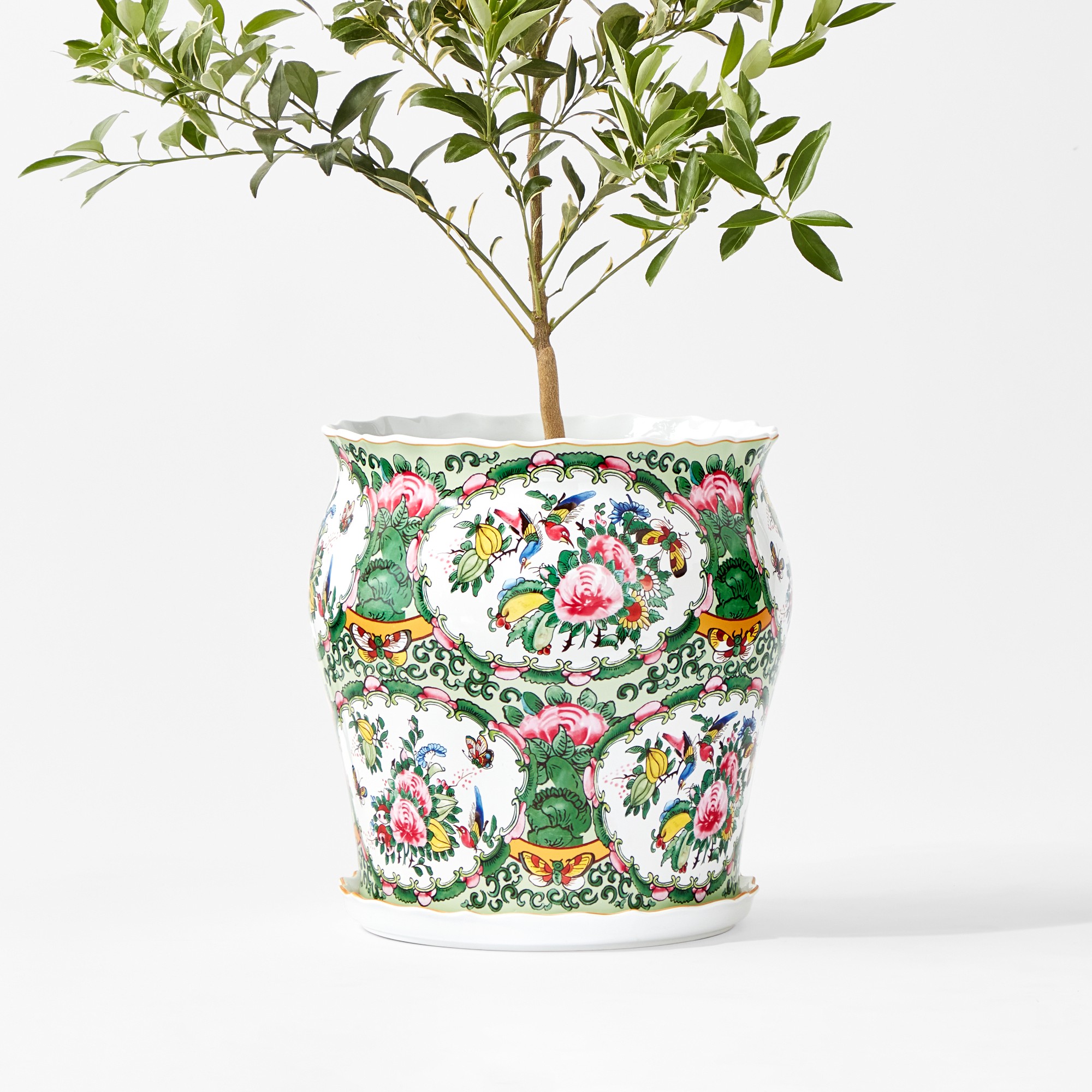 Famille Rose Planter Collection