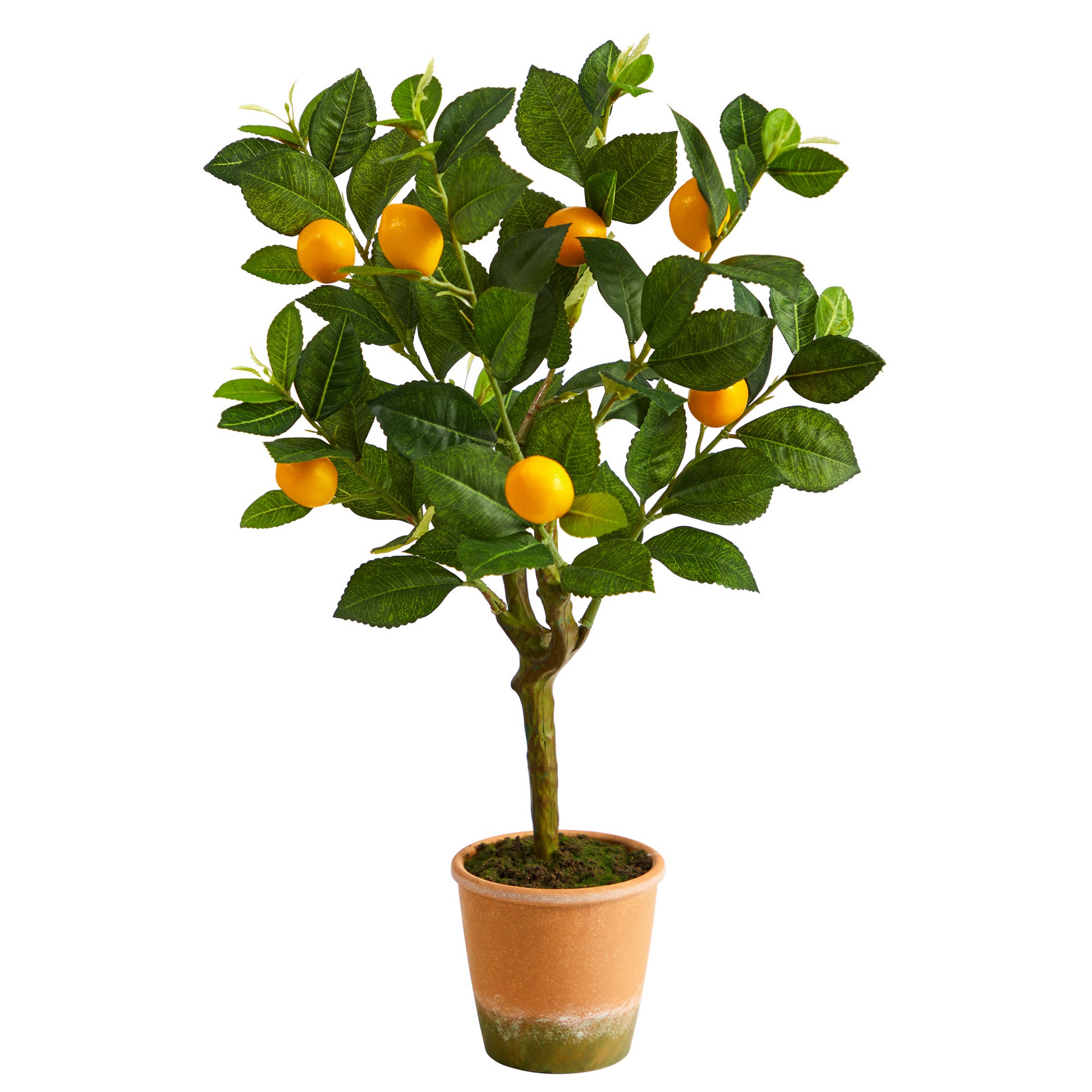 Faux Lemon Tree in Pot, 24