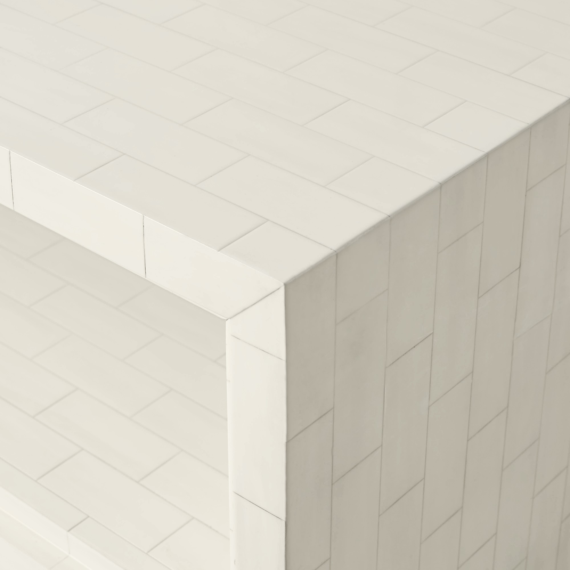 Faux Bone Rectangular Coffee Table (56