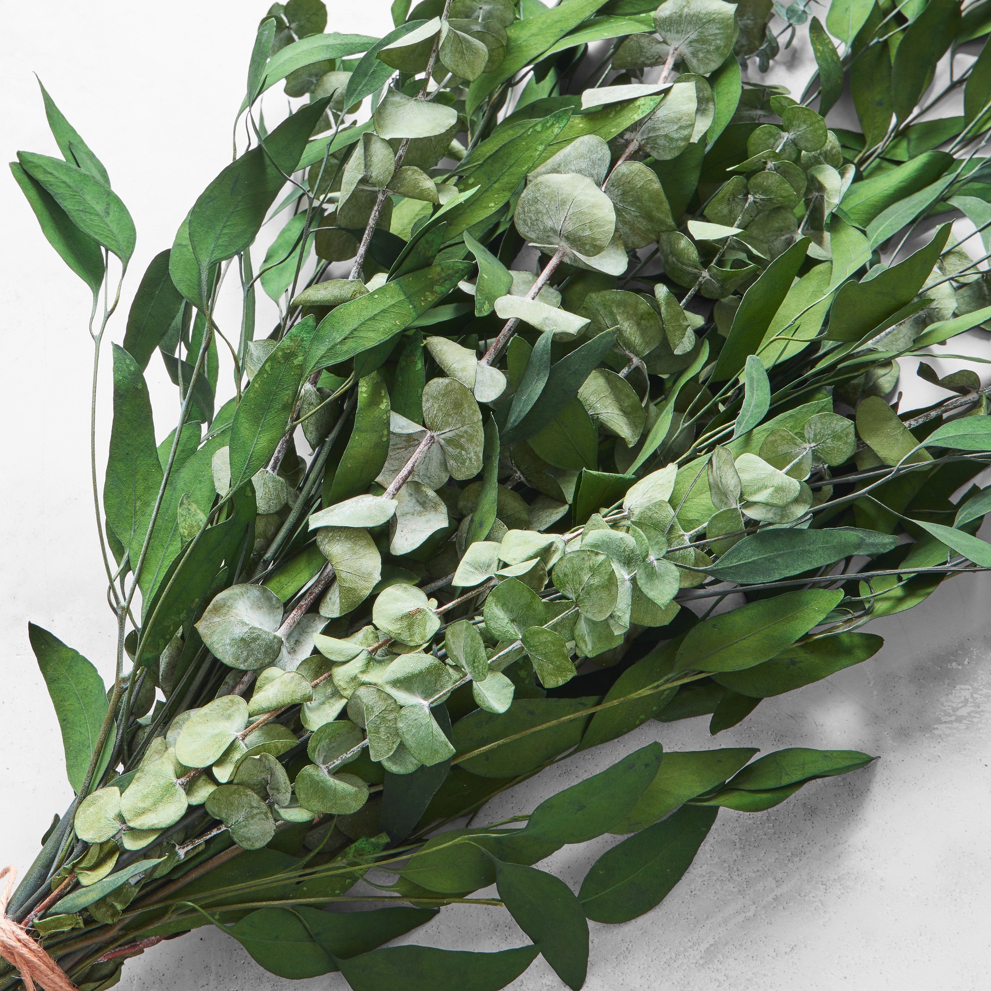 Dried Green Eucalyptus Bunch