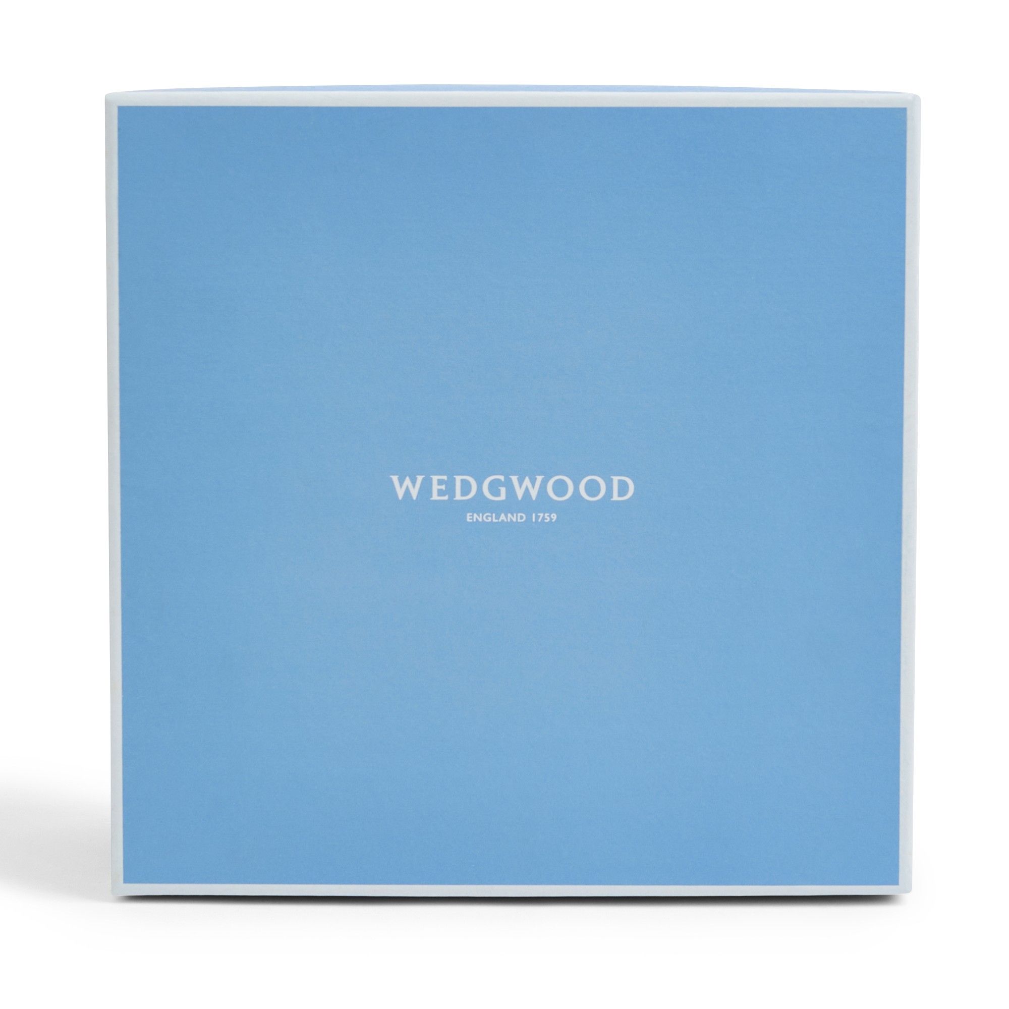 Wedgwood Gio Platinum 5-Piece Placesetting