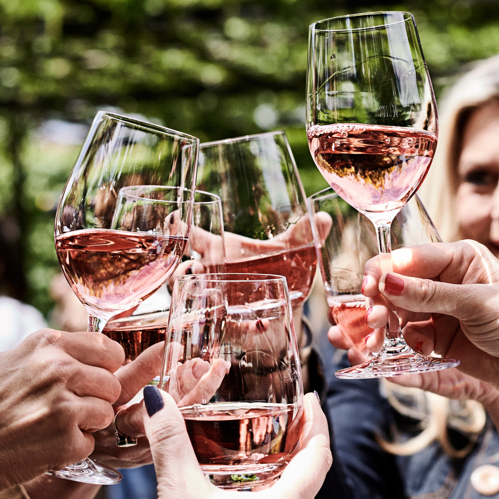 Open Kitchen by Williams Sonoma Stemless White Wine Glasses