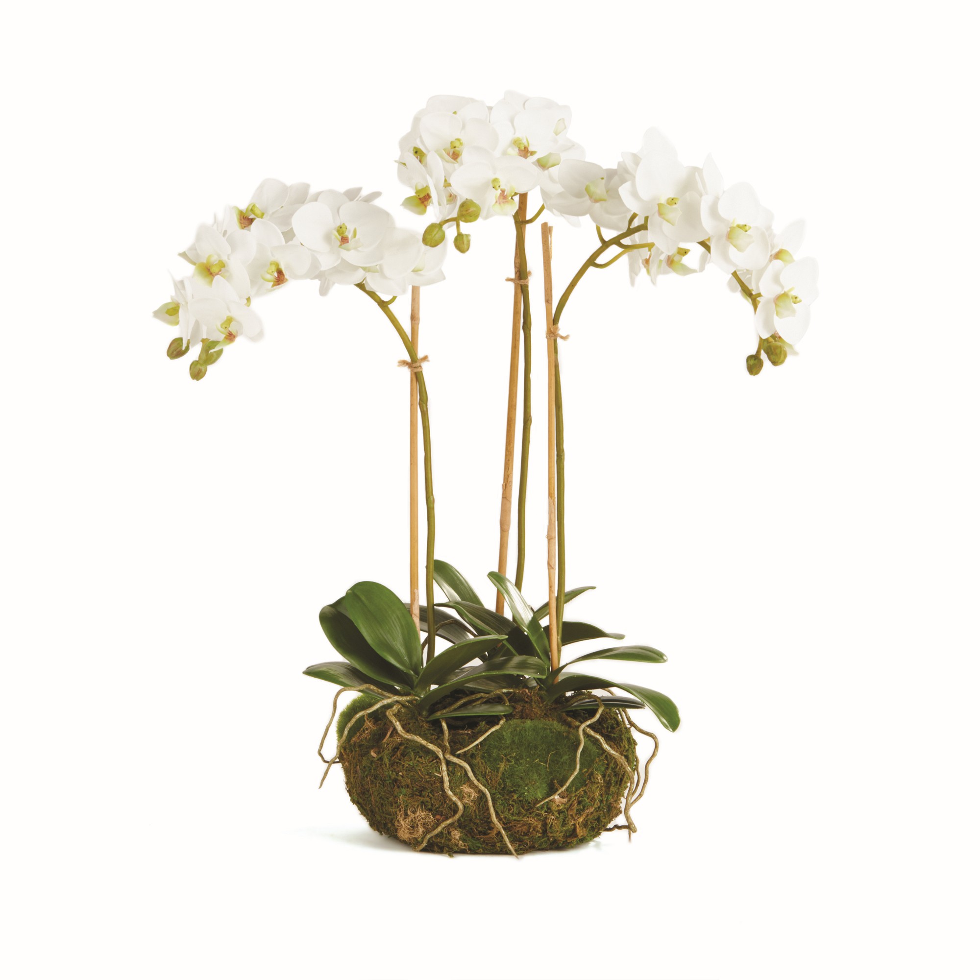 Faux Phalaenopsis Orchid Drop-In,16