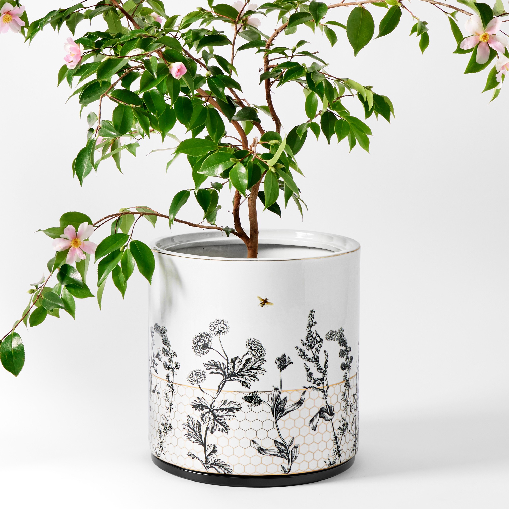 Honeycomb Ceramic Planter Collection