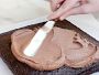 Williams Sonoma Olivewood Offset Icing Spatula