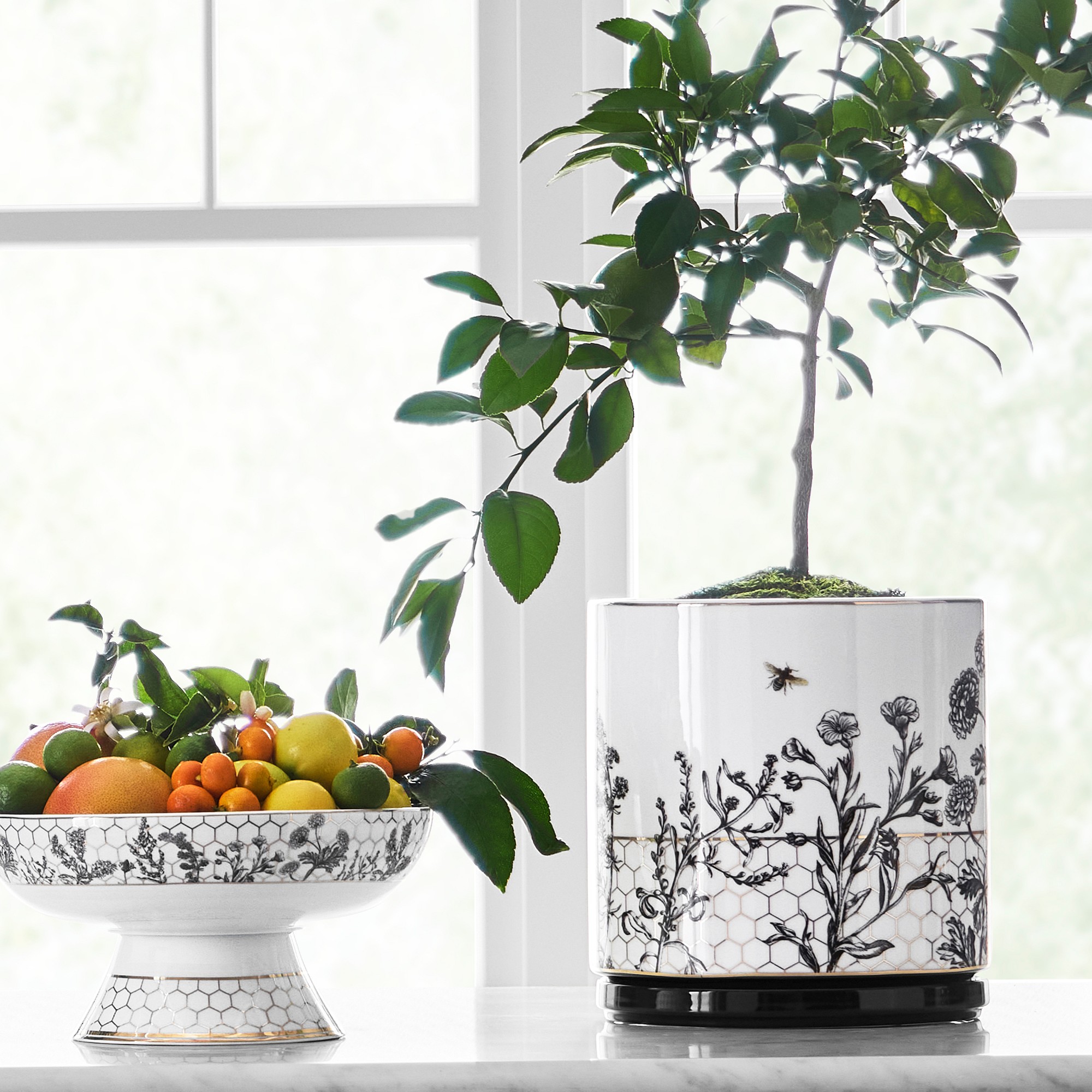 Honeycomb Ceramic Planter Collection