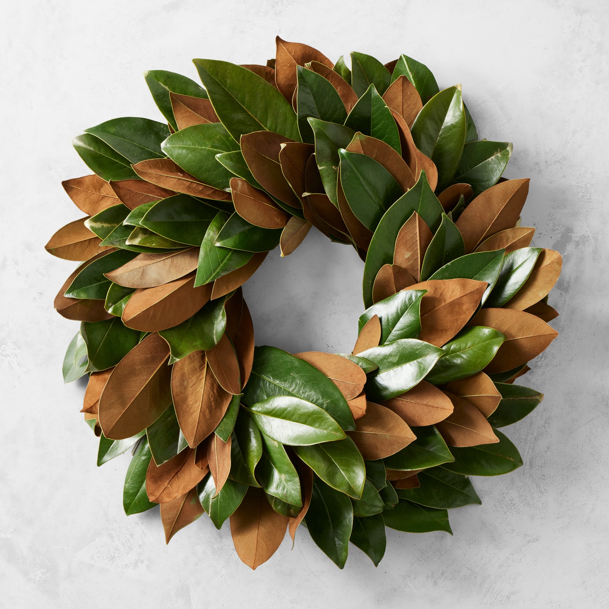 Magnolia Live Wreath & Garland