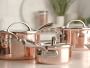 Williams Sonoma Signature Thermo-Clad™ Copper Stockpot