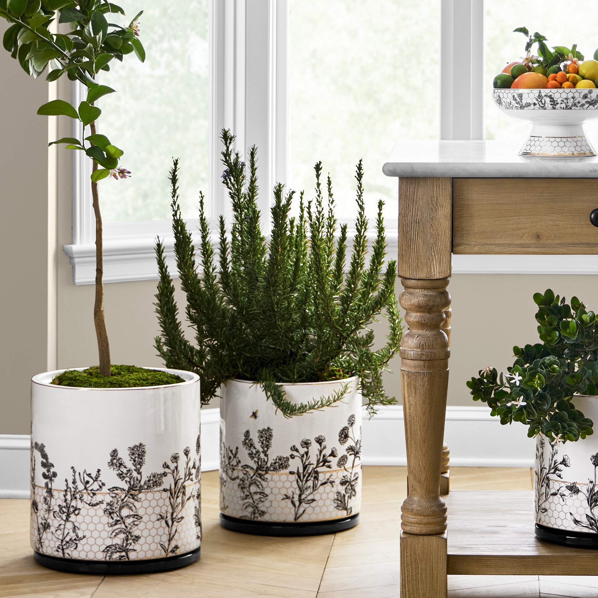Honeycomb Ceramic Planter Collection