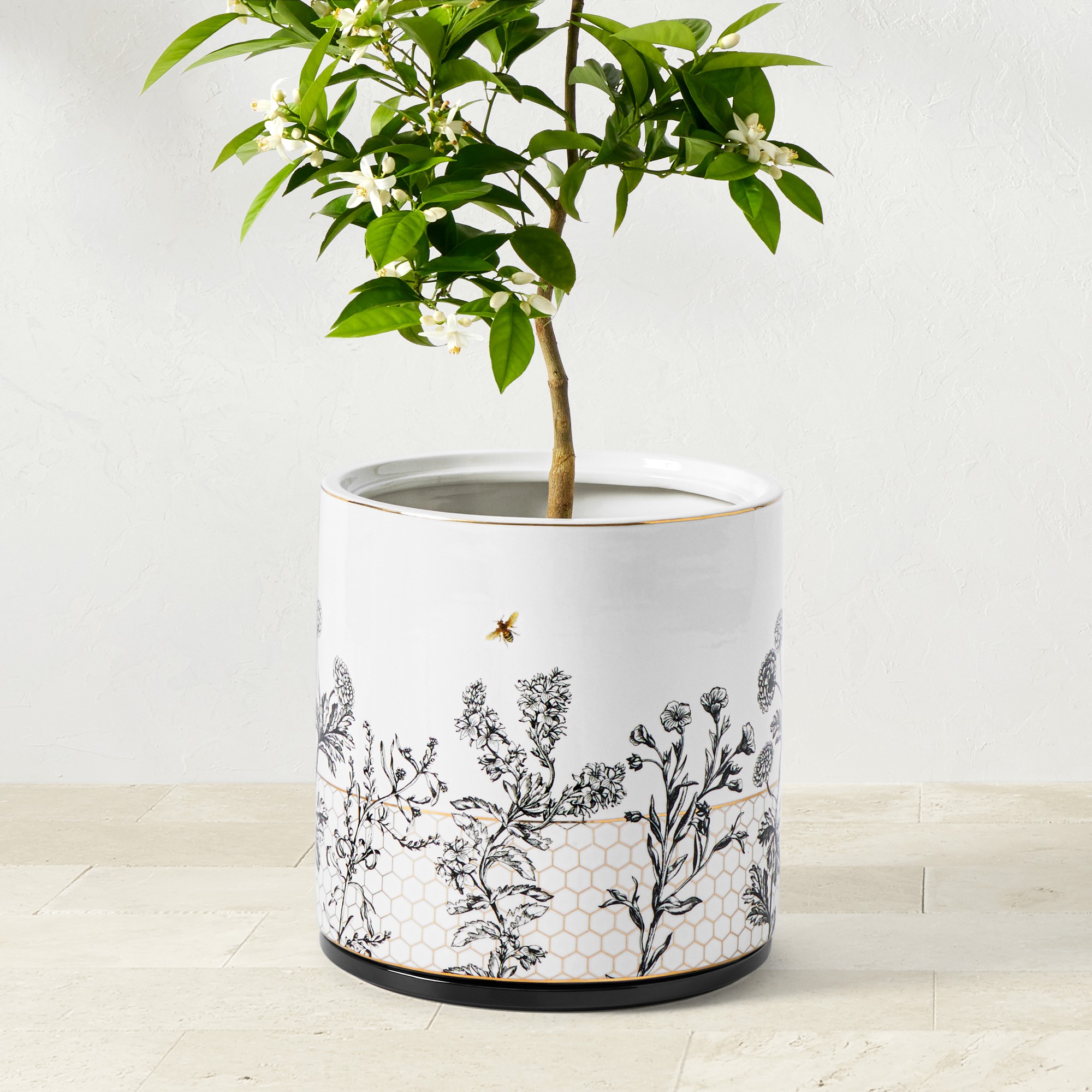 Honeycomb Ceramic Planter Collection